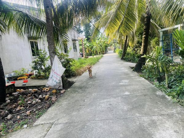 ĐN04 - Đất nền thổ cư xã Mỹ Phong, Tp Mỹ Tho_thumbnail_2