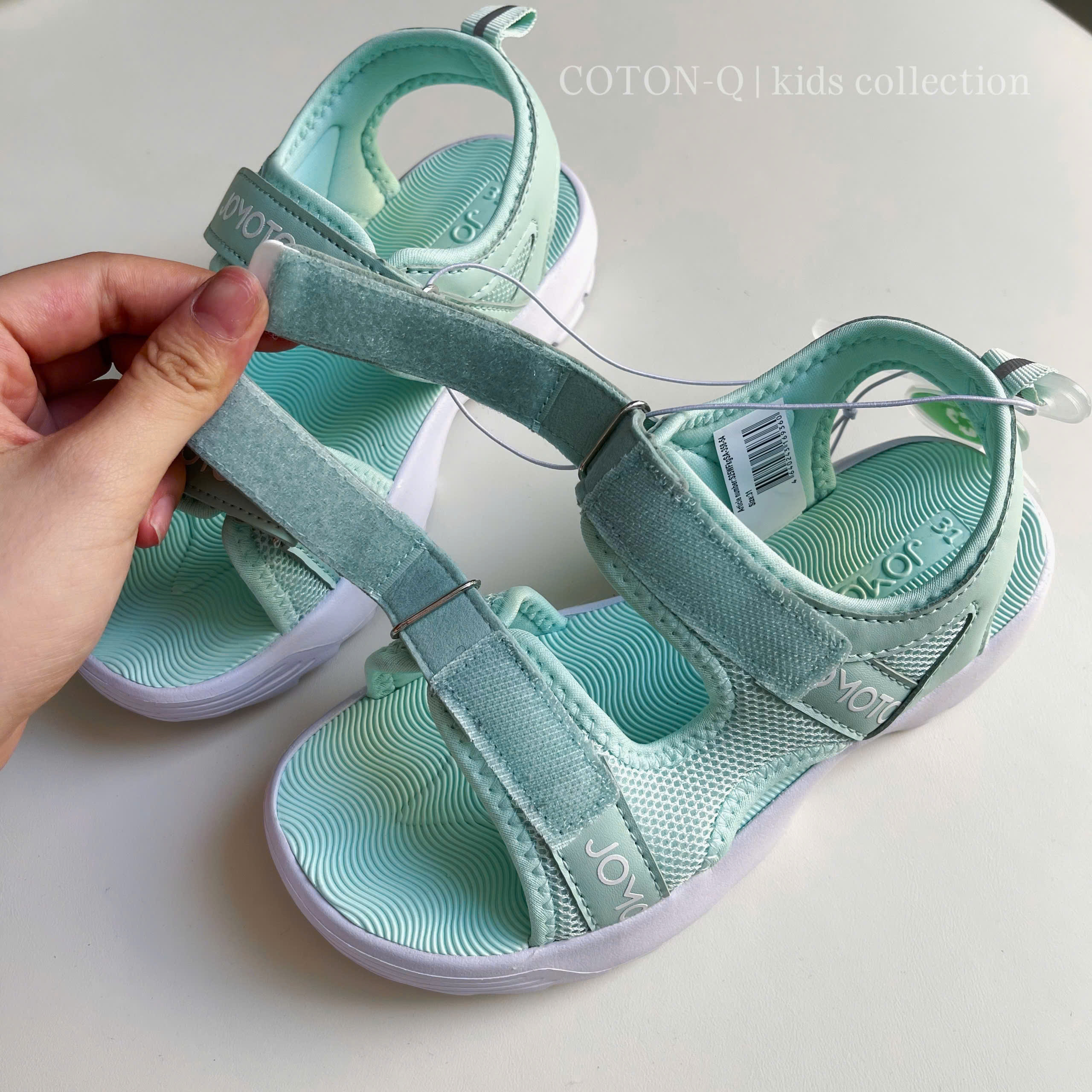 Sandan bé ( RÊU TRỘN )_thumbnail_5