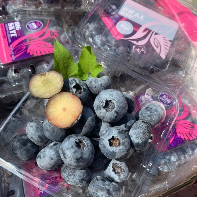 Việt Quất Peru Size Jumbo (Big Skye)_thumbnail_3