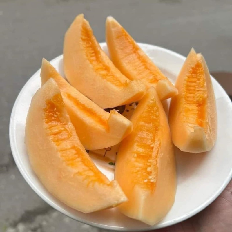 Dưa Lê Thái_thumbnail_1