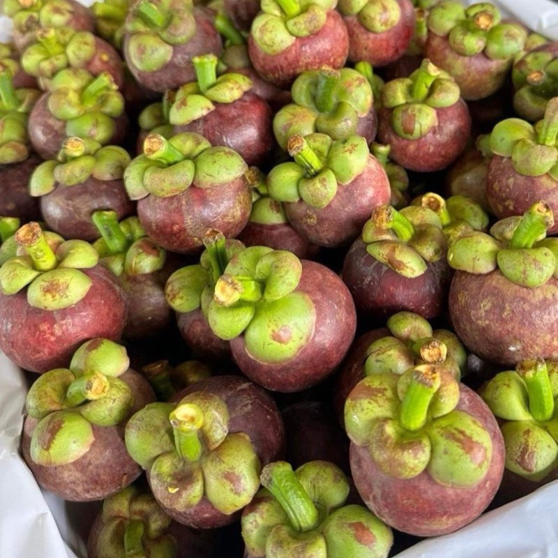 Măng Cụt Thái Lan_thumbnail_3