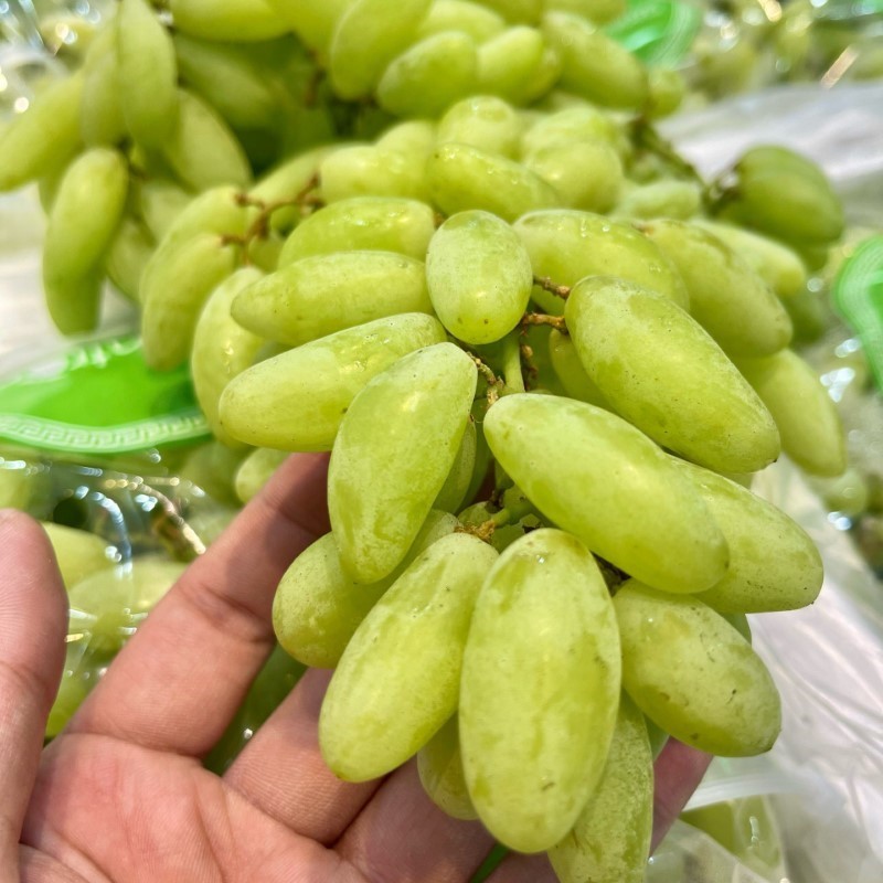 Nho Xanh Ấn Độ (Fresh Trop)_thumbnail_1