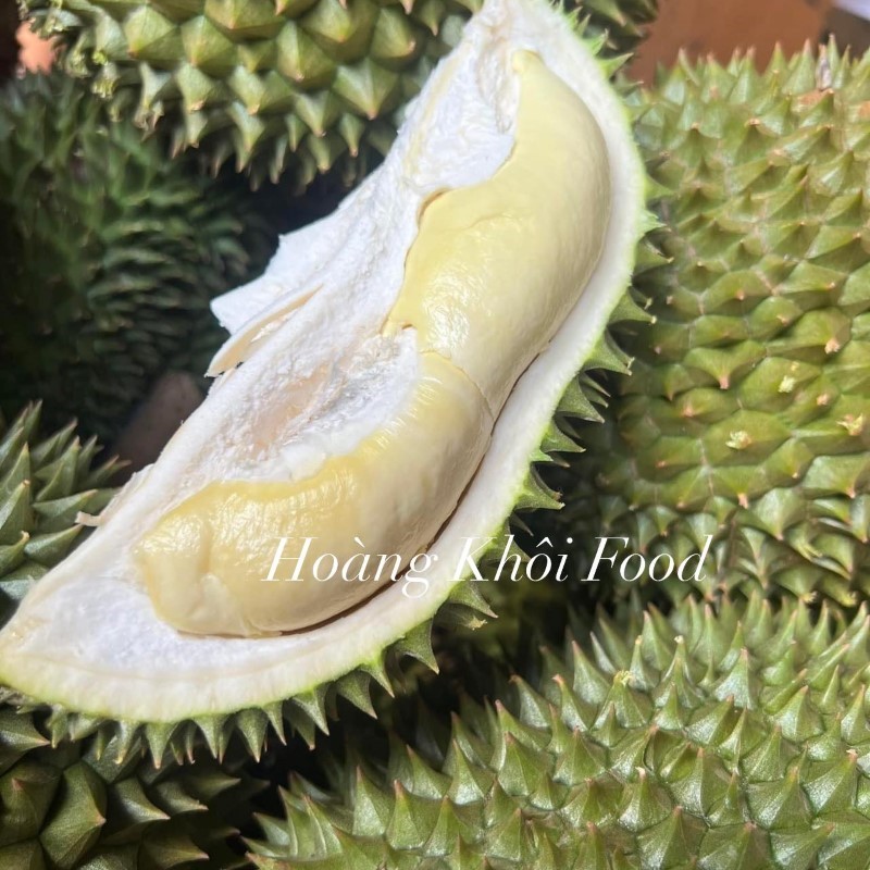 Sầu Riêng Chuồng Bò_thumbnail_1