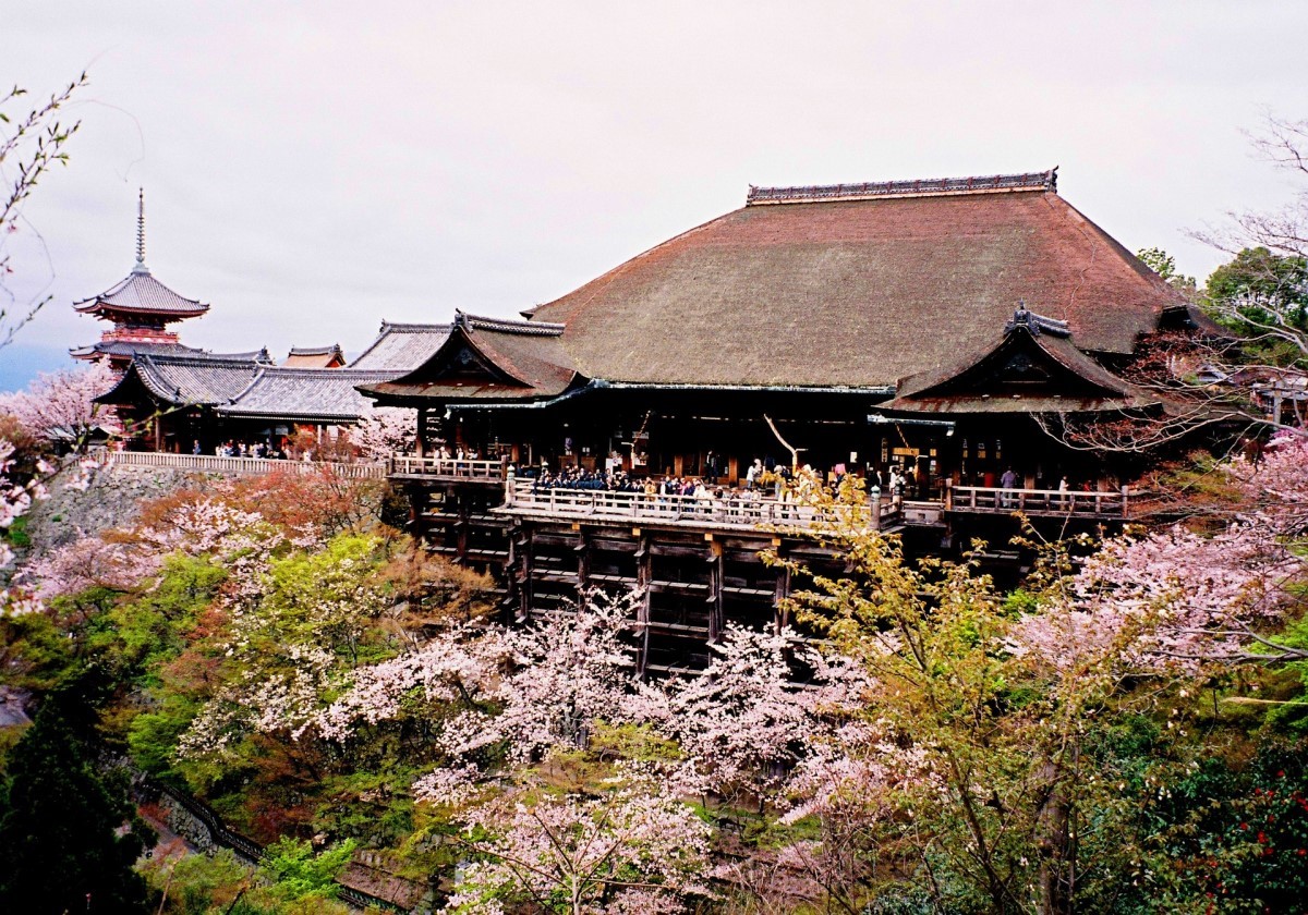 Tour du lịch Nhật Bản | Hà Nội - Tokyo - Núi Phú Sỹ - Nagoya - Tokyo - Osaka 6N5Đ_thumbnail_4