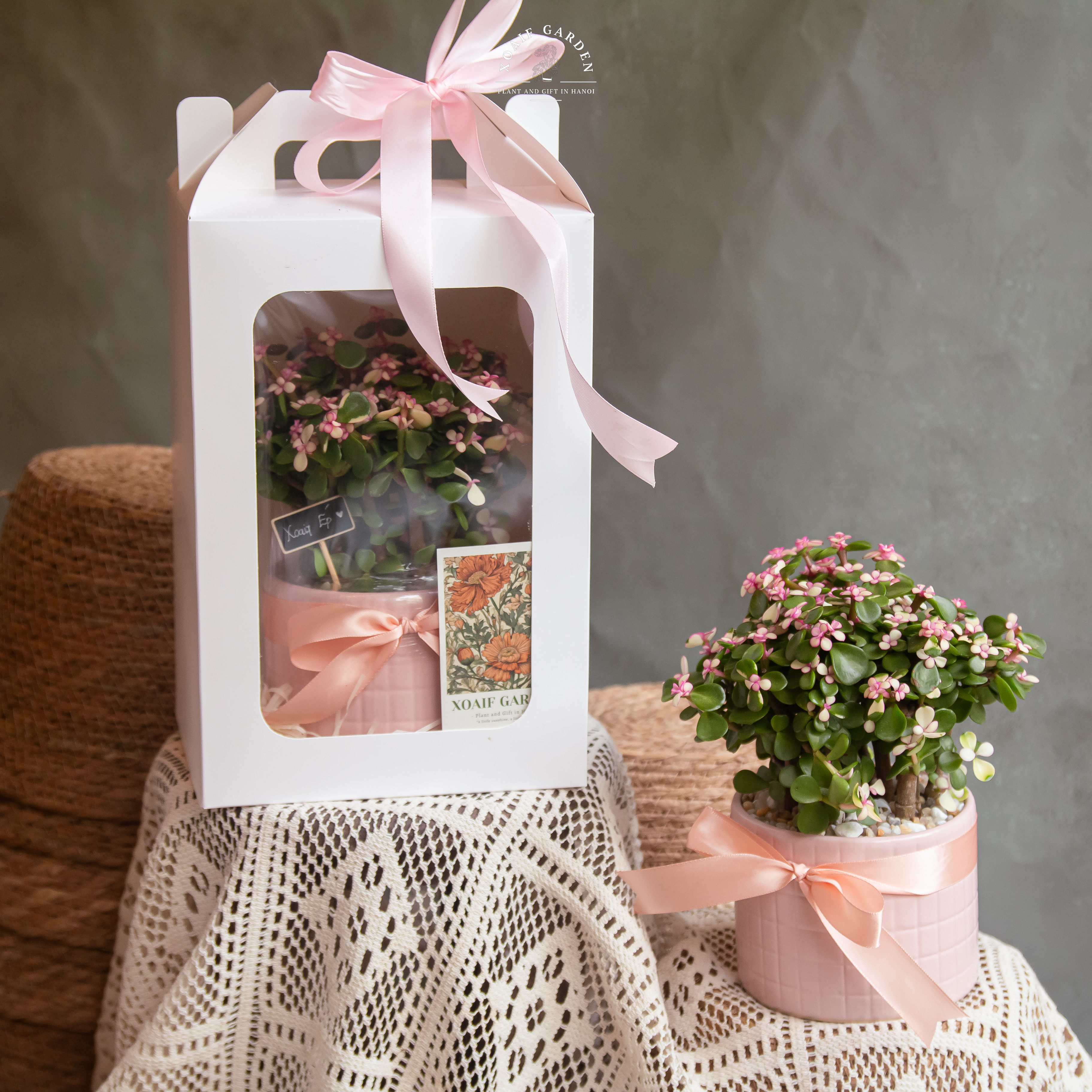 HỘP QUÀ NGỌC BÍCH HỒNG