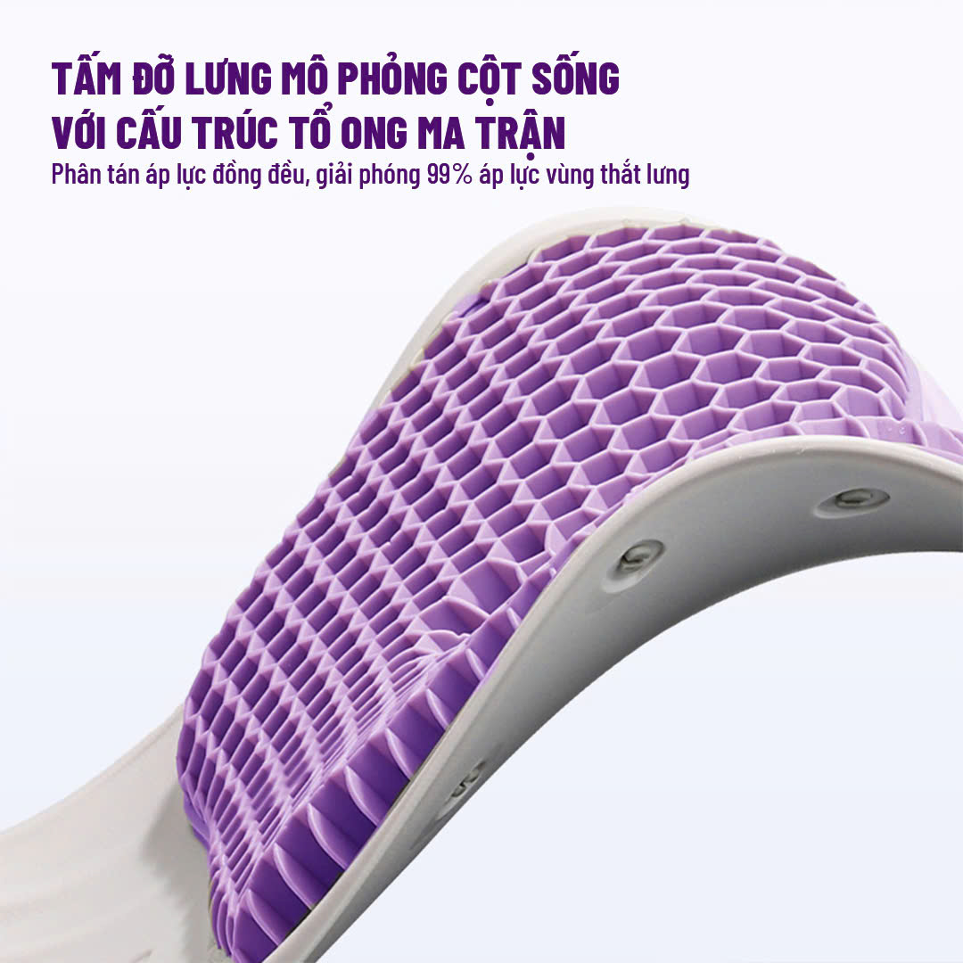 GHẾ CURBLE CÔNG THÁI HỌC_thumbnail_6