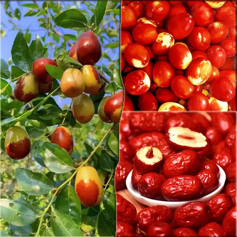 Táo Đỏ Mana - Hũ pet 300g_thumbnail_2