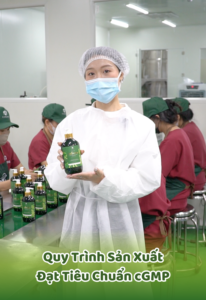🌿 Nhà Máy Sản Xuất Dầu Gội Cỏ Xanh – Chuẩn CGMP, An Toàn Cho Người Dùng