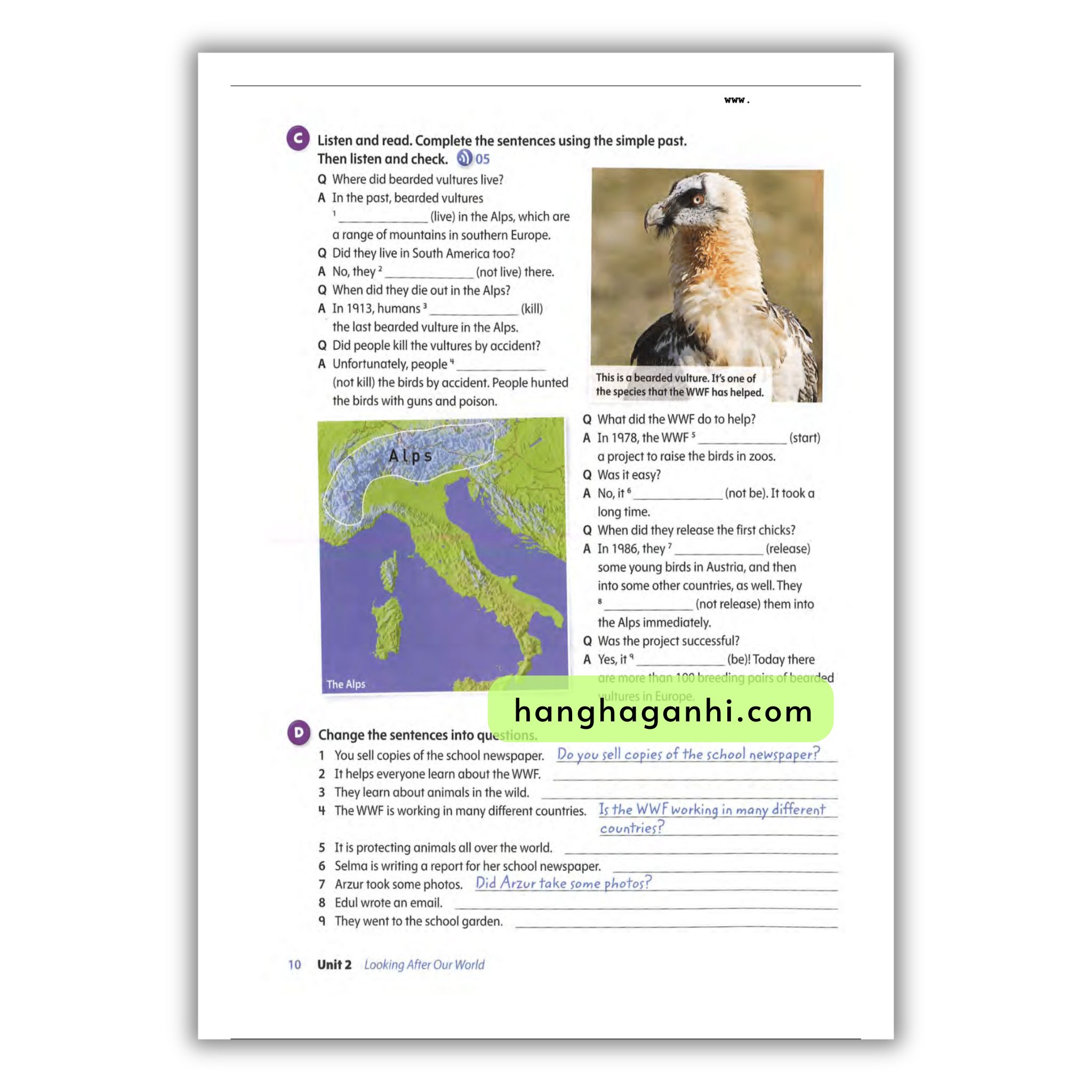 Oxford Discover Level 5 Grammar_thumbnail_11