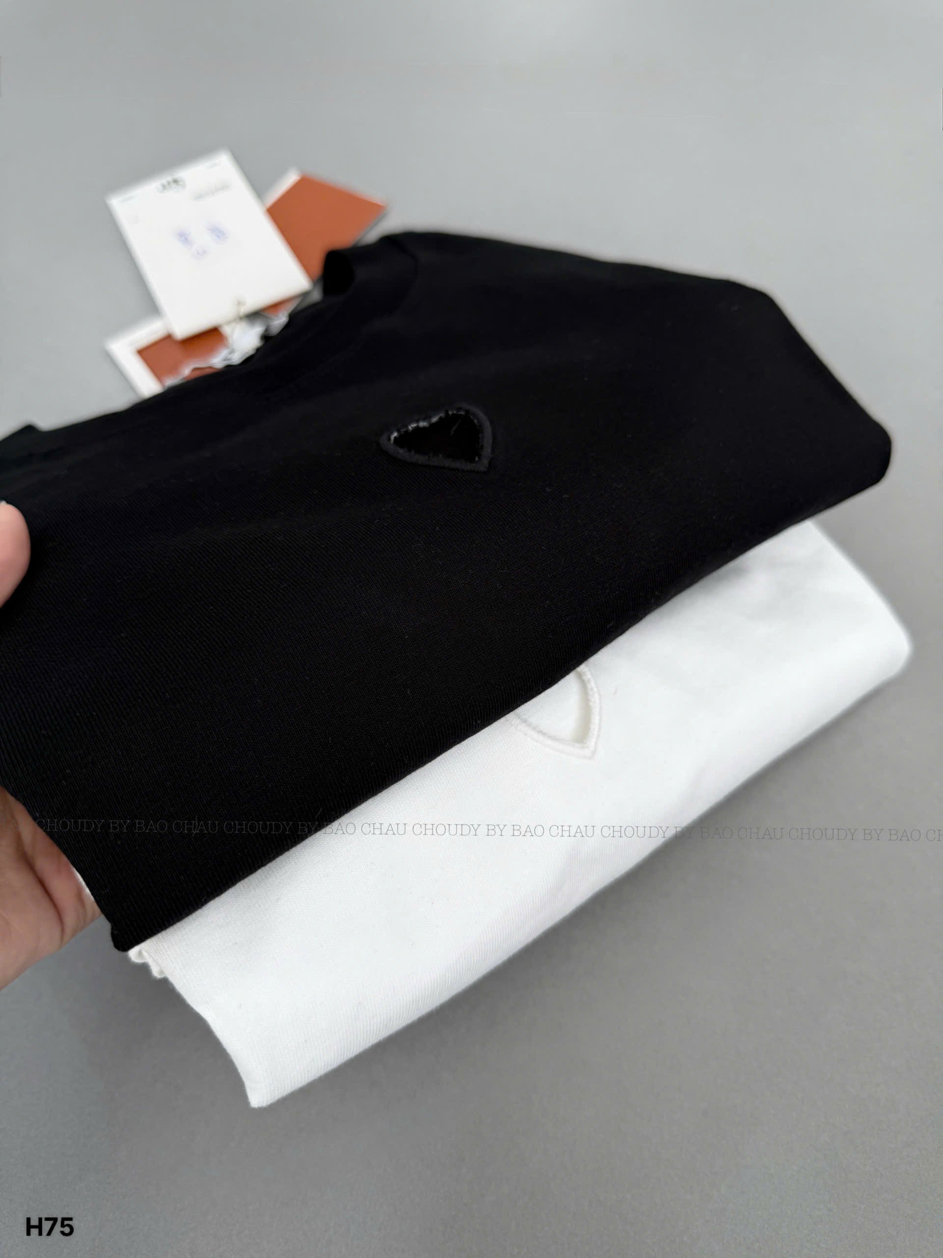 H75 ÁO THUN 2 MÀU_thumbnail_2