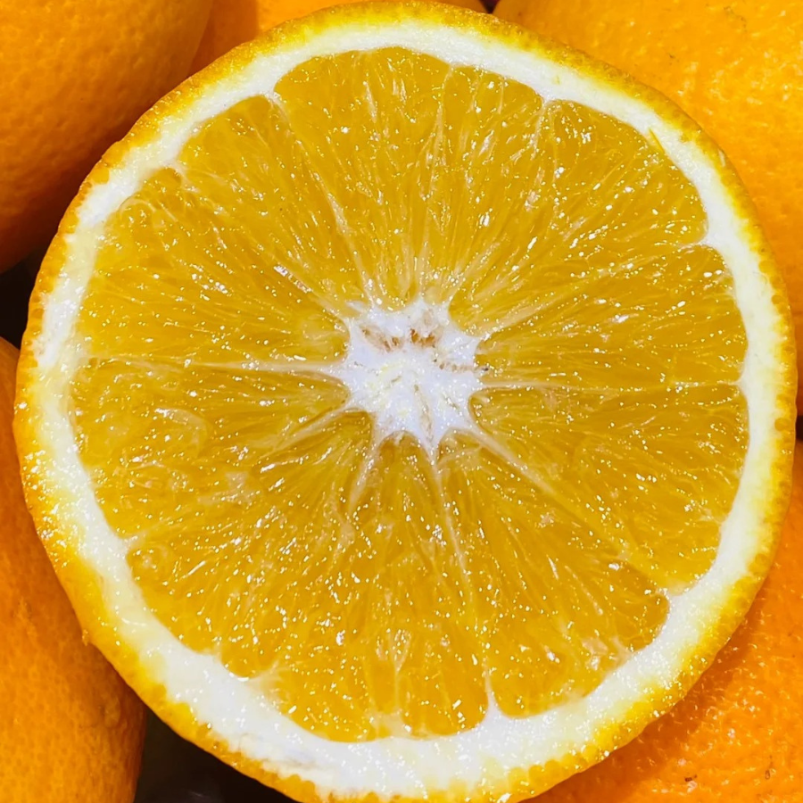 Cam Vàng Úc_thumbnail_4