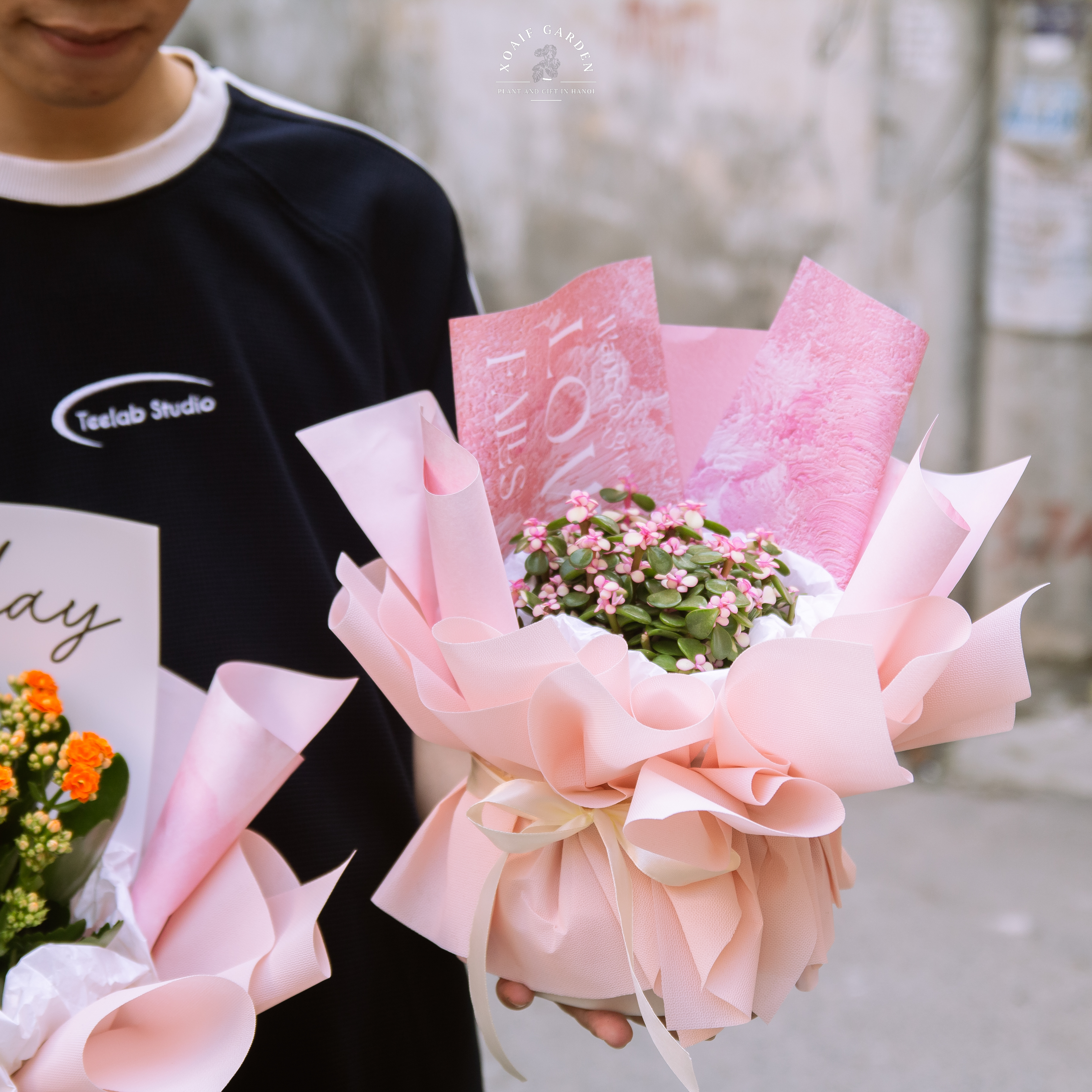 SET QUÀ TẶNG CÂY NGỌC BÍCH HỒNG_thumbnail_9