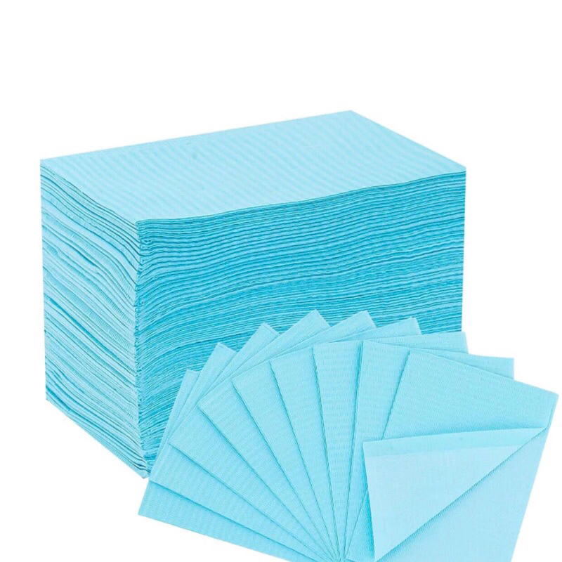 Tấm lót trải 33x45cm (125 miếng)._thumbnail_1