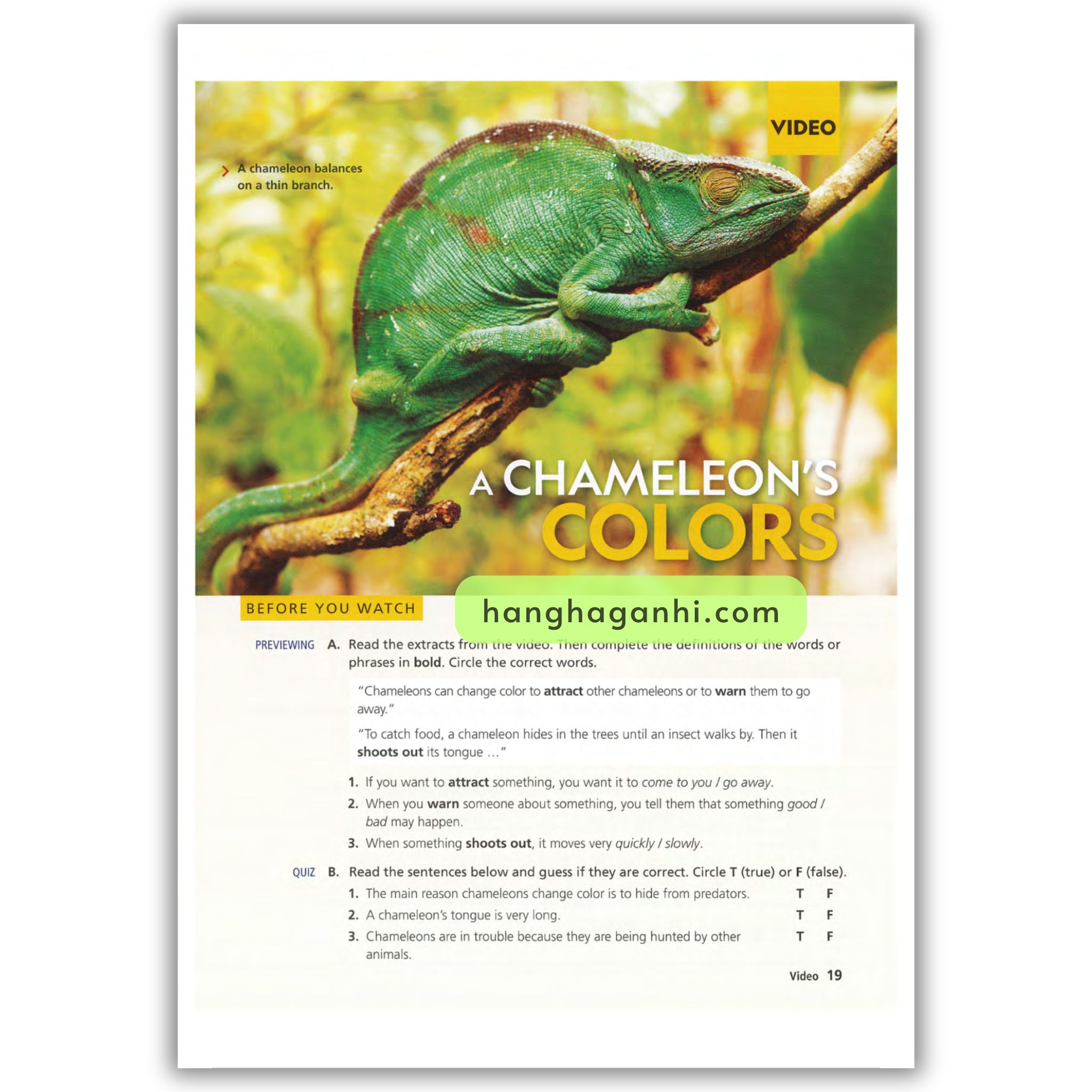 Reading Explorer 1 Student’s Book 3rd Edition_thumbnail_5