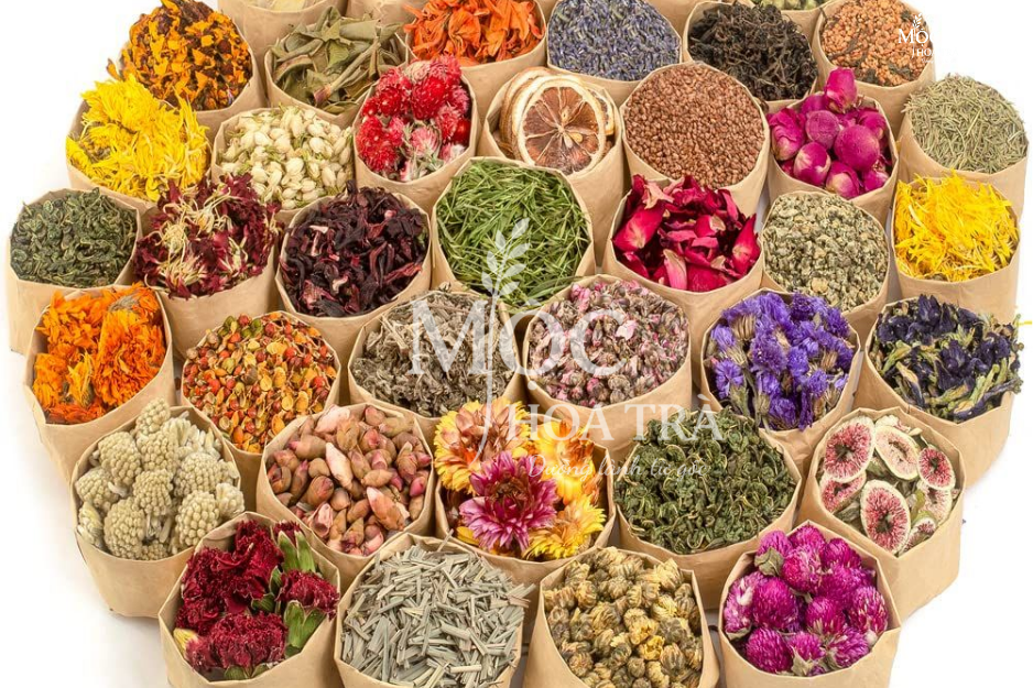 Thảo Mộc Là Gì? 5 Lợi Ích Khoa Học & Cách Dùng Trà Thảo Mộc Hiệu Quả