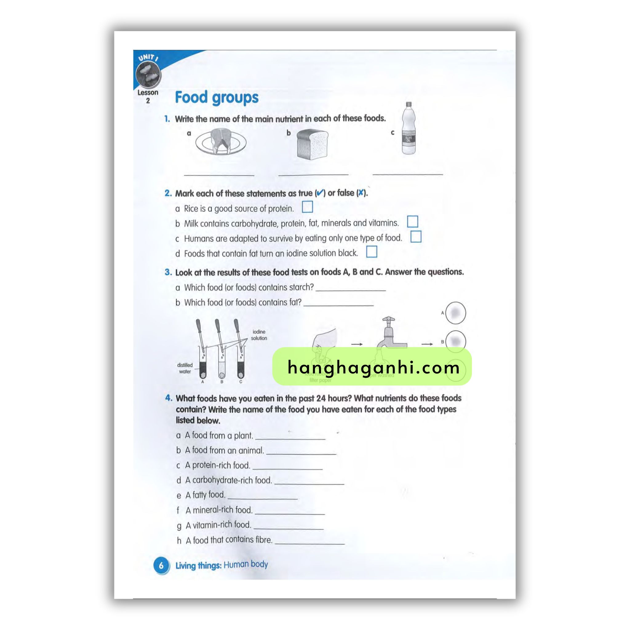 Macmillan Science 5 Workbook_thumbnail_5