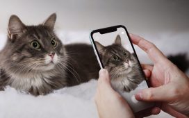 Use Headphones Properly Not To Damage Your Hearing