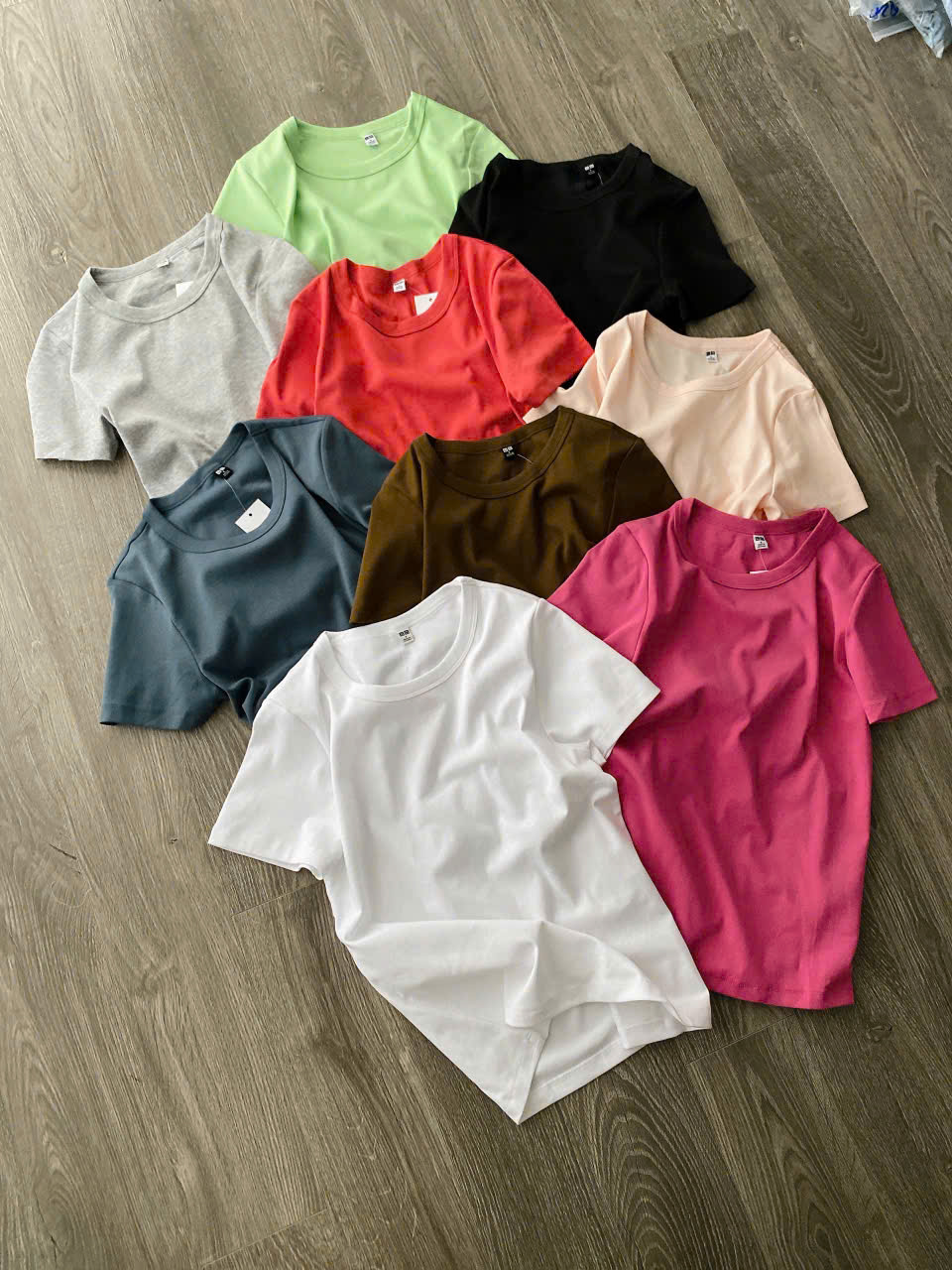 SALE A2202 ÁO THUN 10 MÀU (TRỘN MÀU)_thumbnail_12