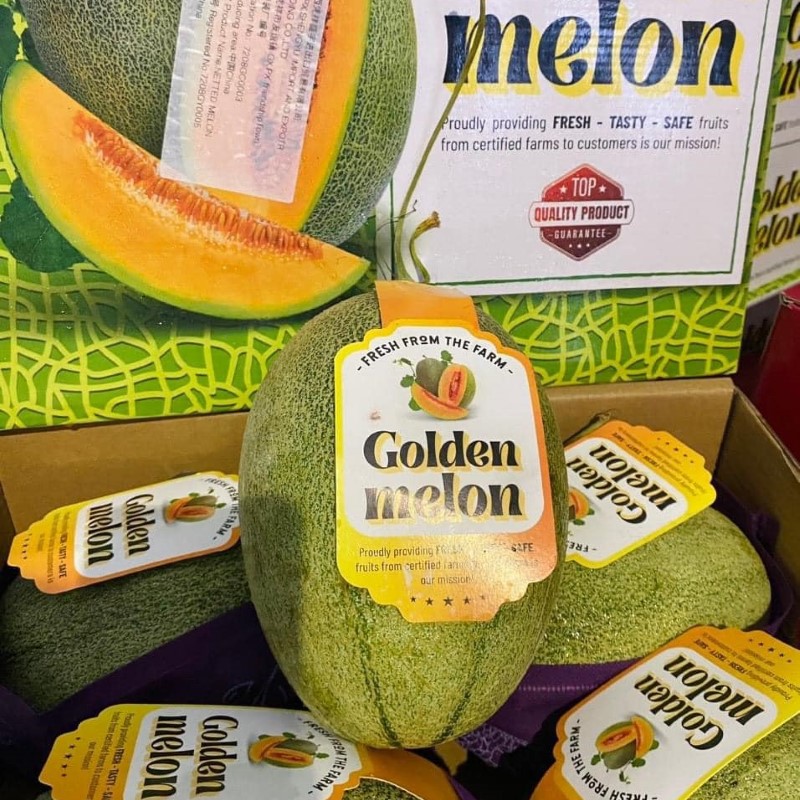 Dưa Lưới Đài Loan (Golden Melon)_thumbnail_1