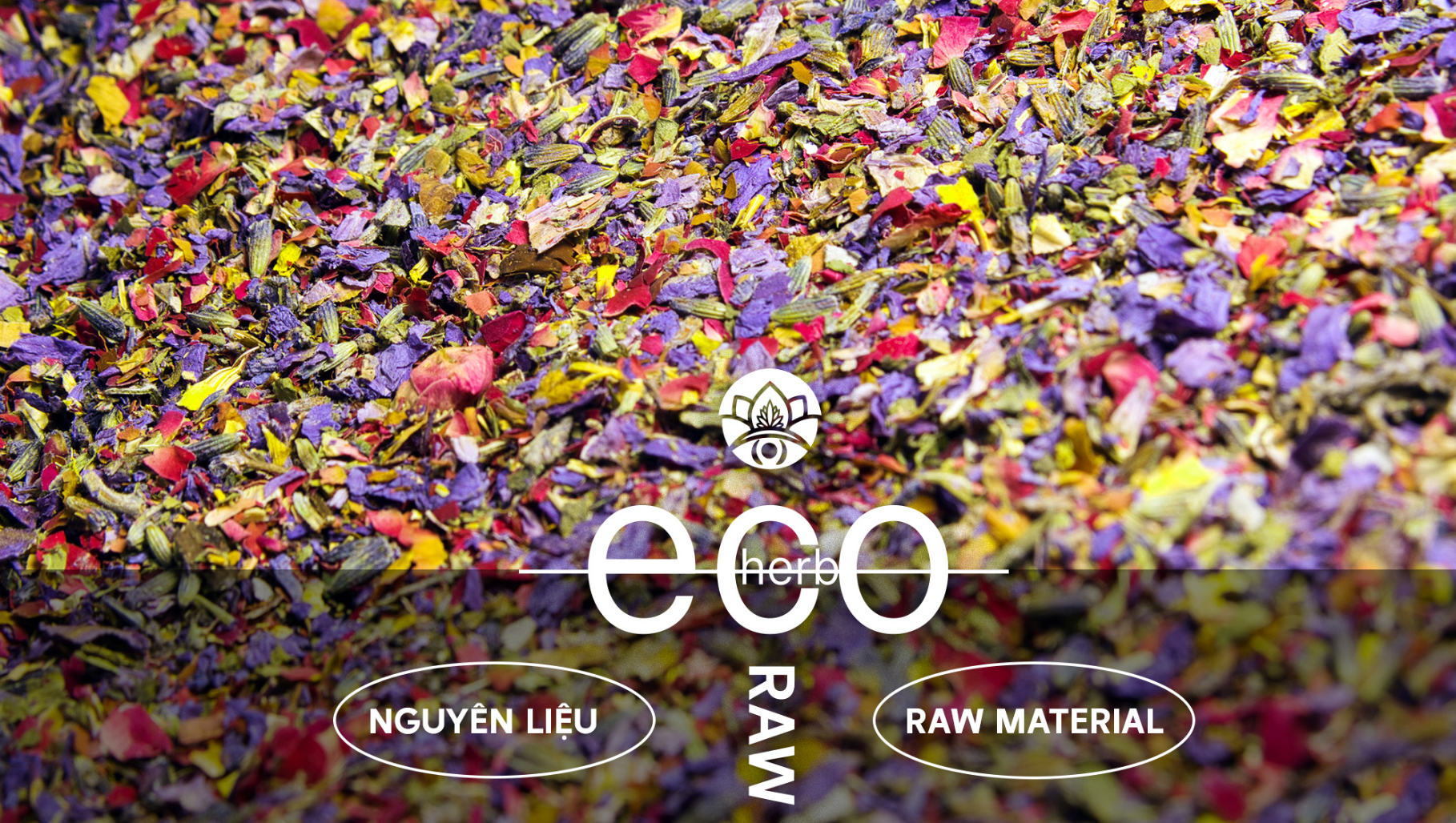 Cảm giác khi sử dụng EcoHerb?