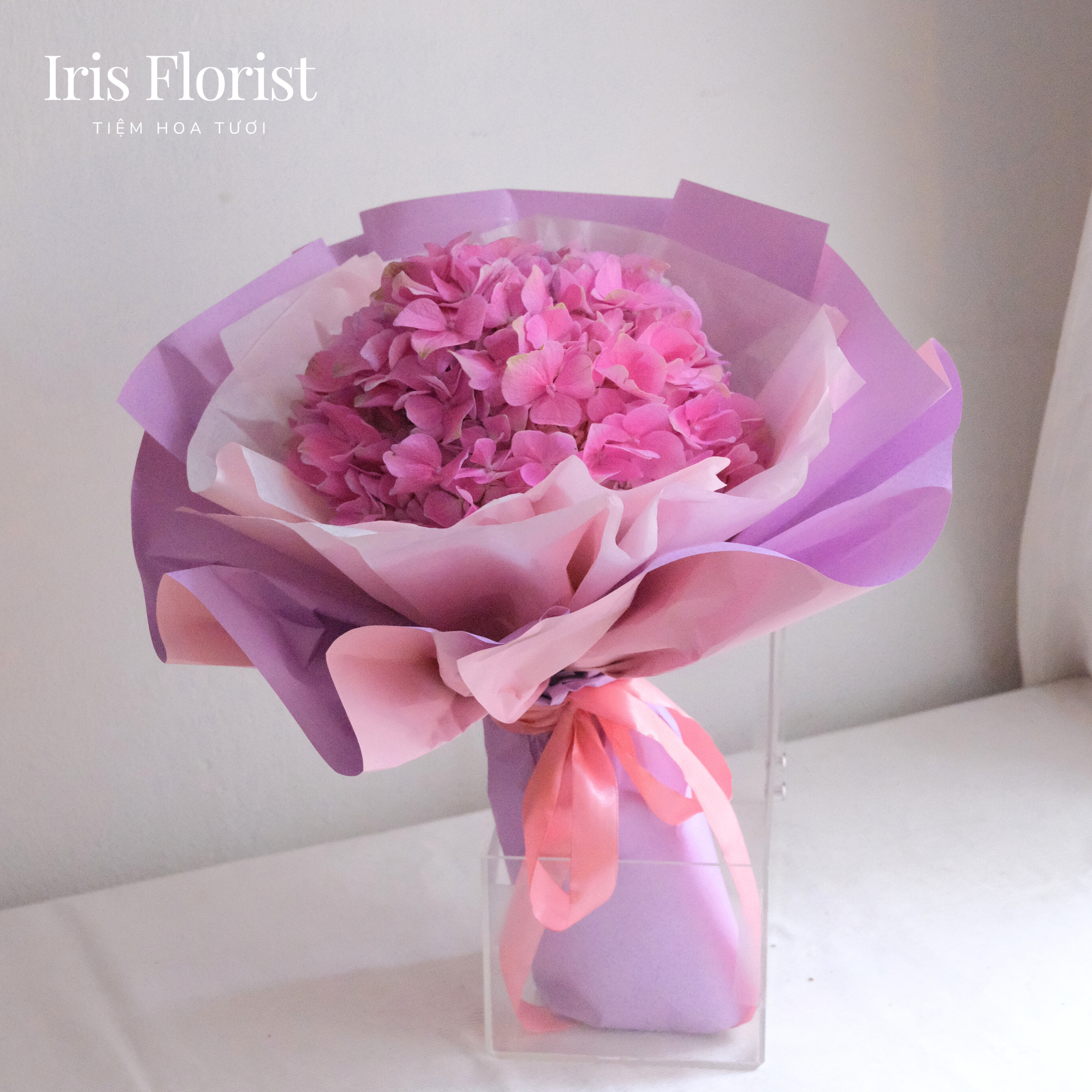 Bó tú cầu hồng - 1 cành