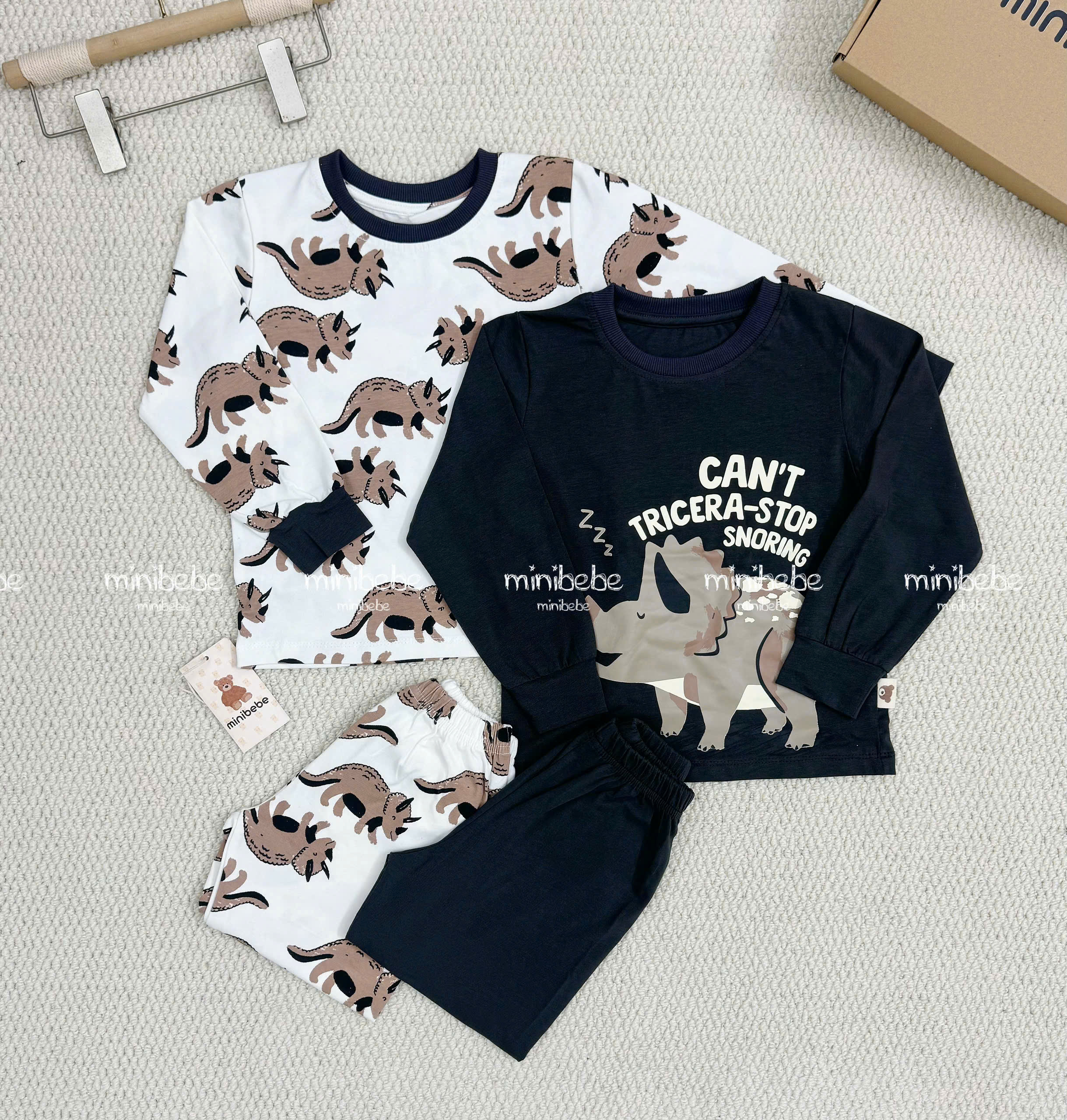 T51 SET 2 BỘ KHỦNG LONG ĐANG NGỦ - A100.301