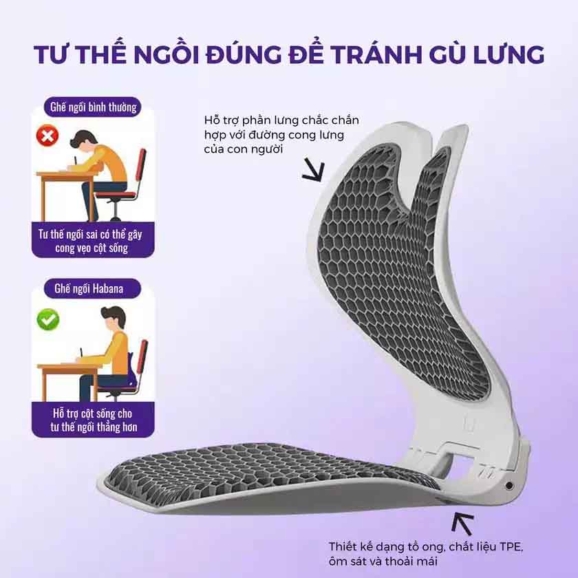 Ghế Chỉnh Dáng EGO HABANA_thumbnail_2