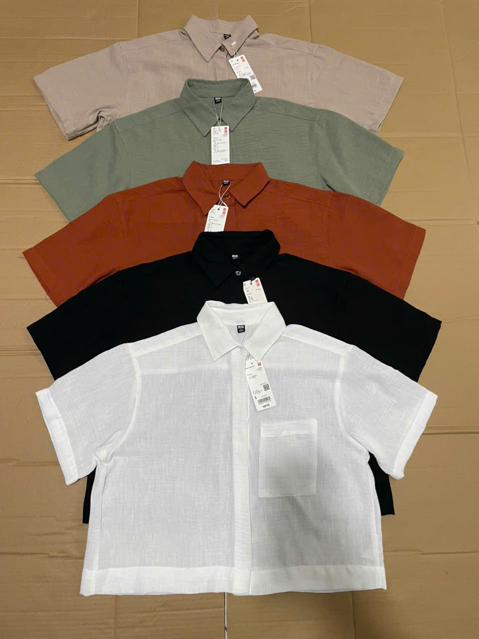 AM173 Sơmi Uni (lê- vê)_thumbnail_2