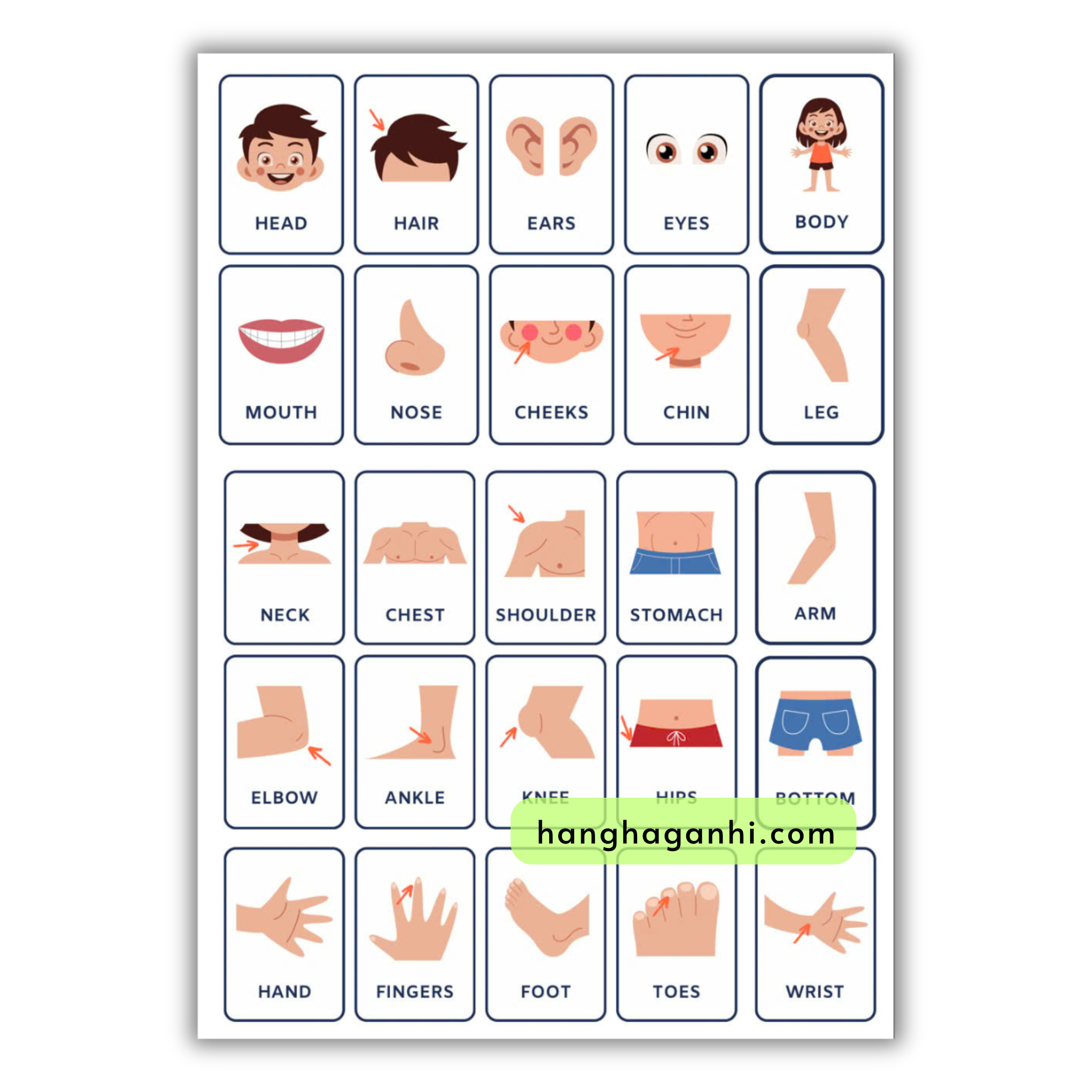 Bộ 13 tranh treo tường, 230 từ vựng Tiếng Anh_thumbnail_4