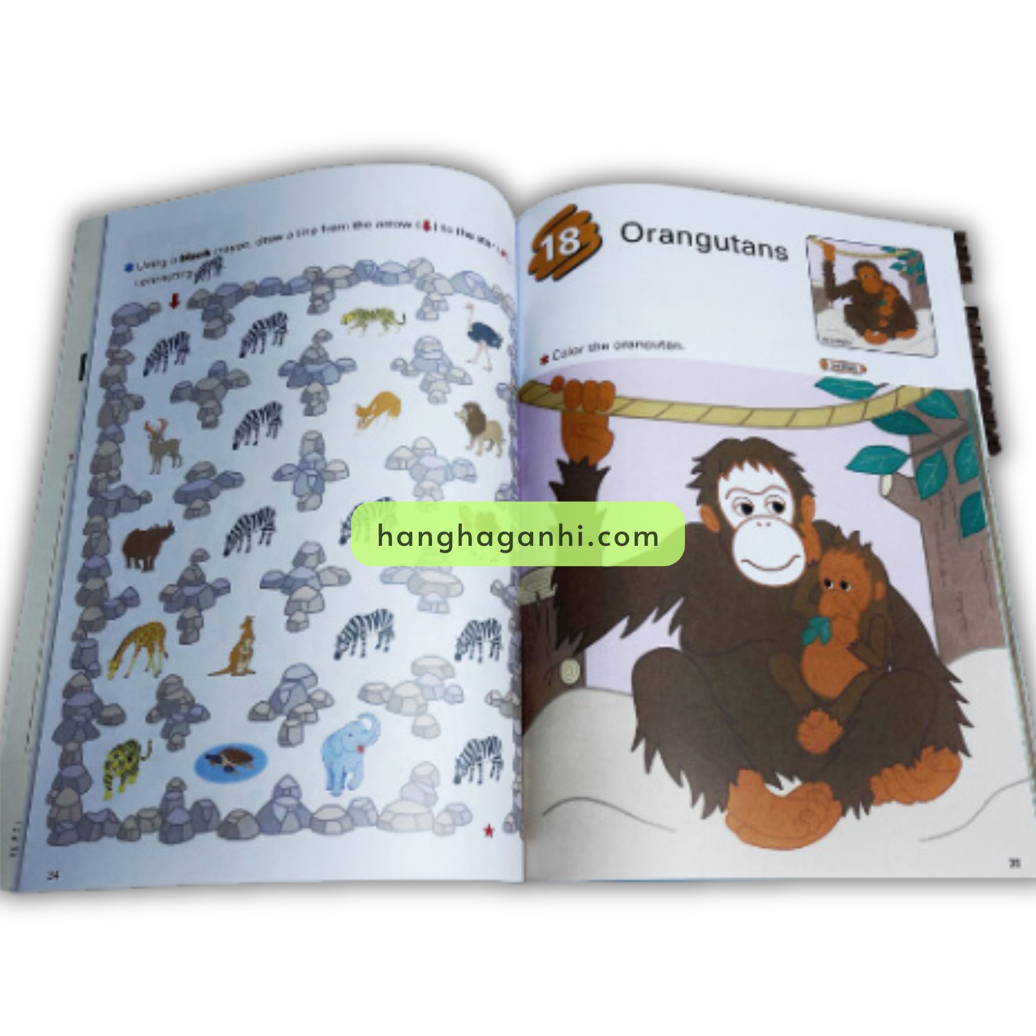 Evan Moor Stories to Read Words to Know – Trọn Bộ 10 Cuốn Kèm Audio_thumbnail_10