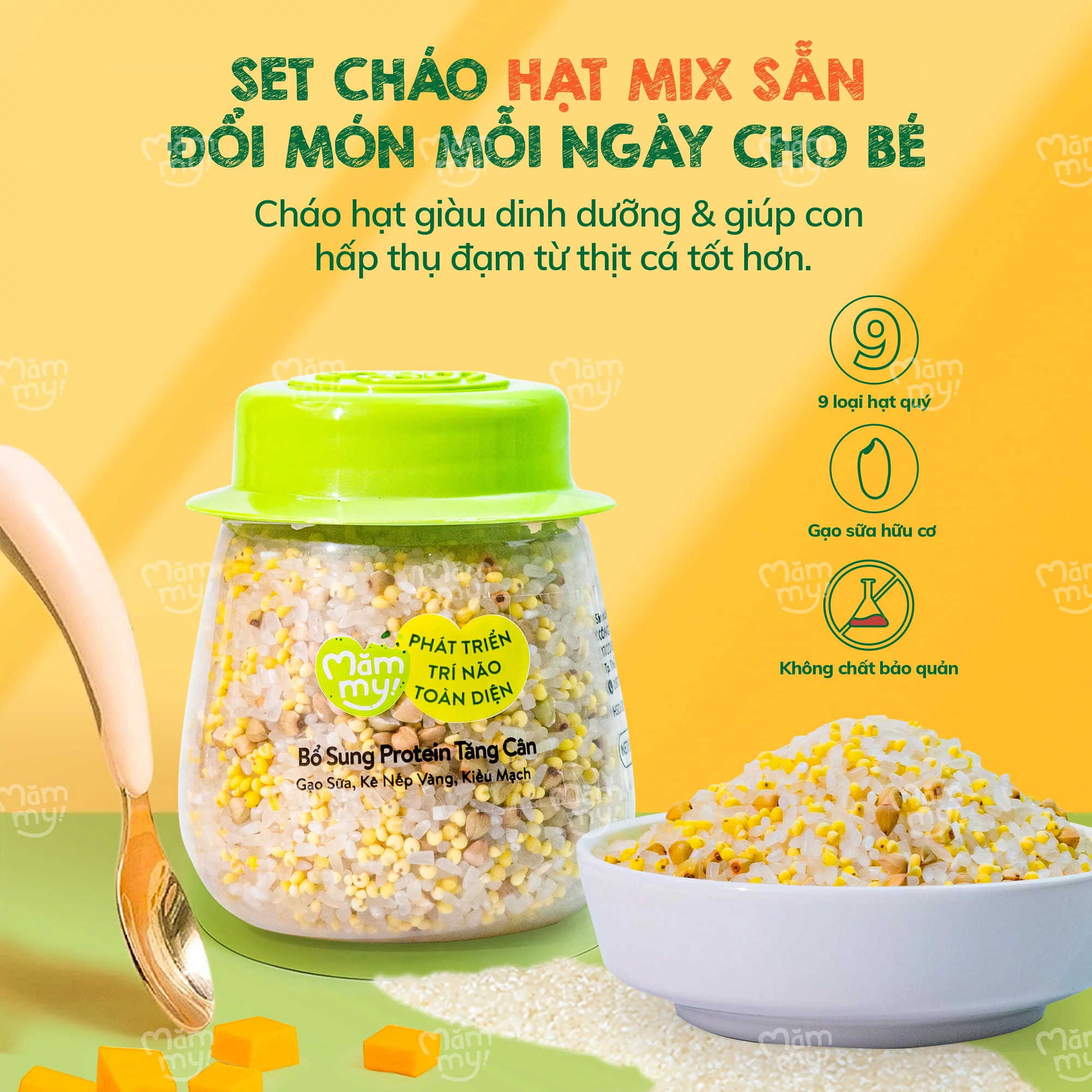 Hạt mix bổ sung protein Tăng cân Măm My