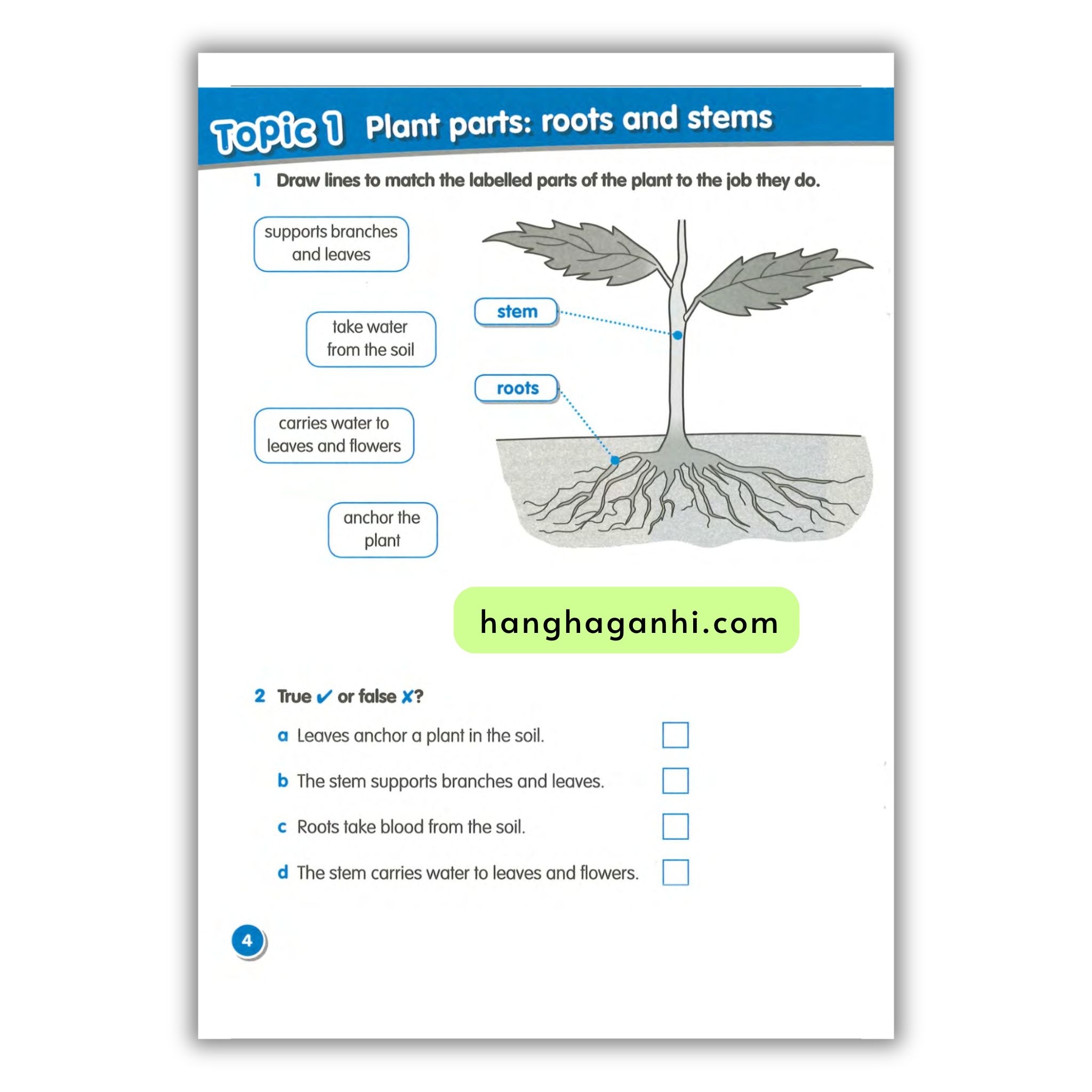 Macmillan Science 3 Workbook_thumbnail_12