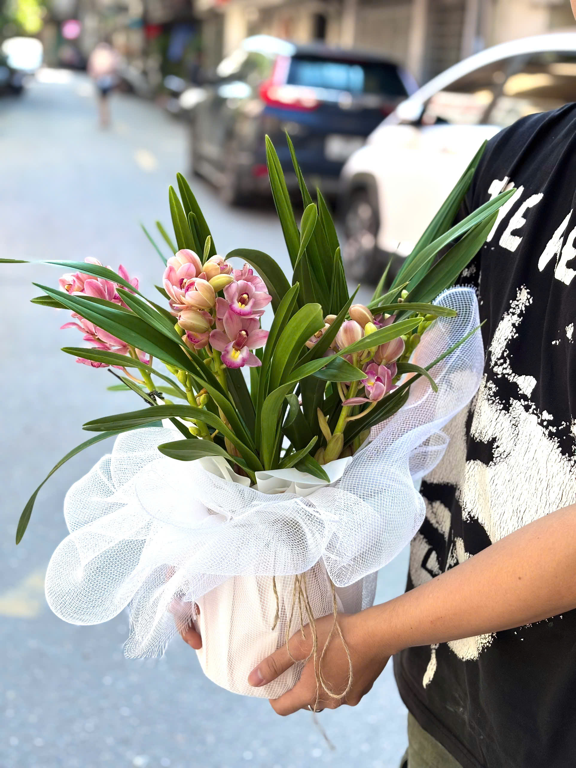 SET ĐỊA LAN CƠ BẢN VỚI GIẤY HOA_thumbnail_3