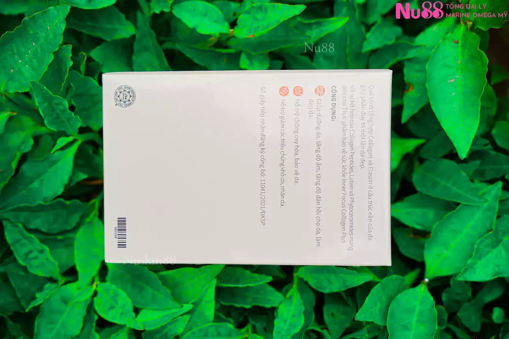 Thực phẩm bảo vệ sức khỏe Inner Focus Collagen Plus_thumbnail_4