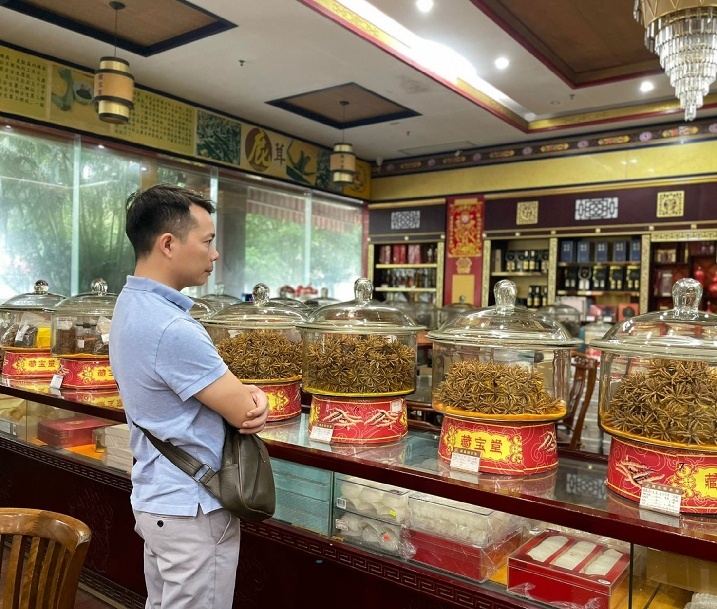 484189185_1391029175202987_903165996802463055_n 1