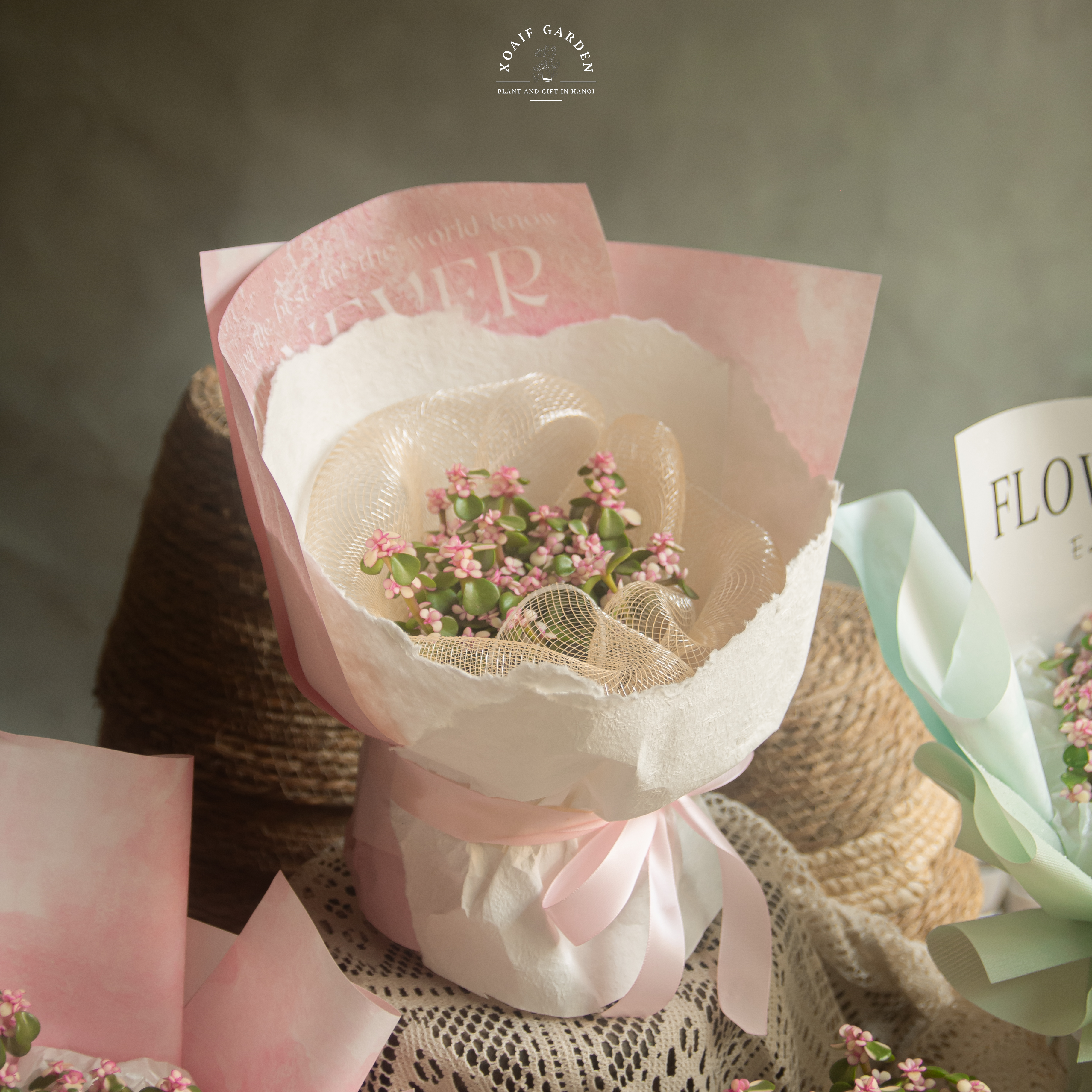 SET QUÀ TẶNG CÂY NGỌC BÍCH HỒNG