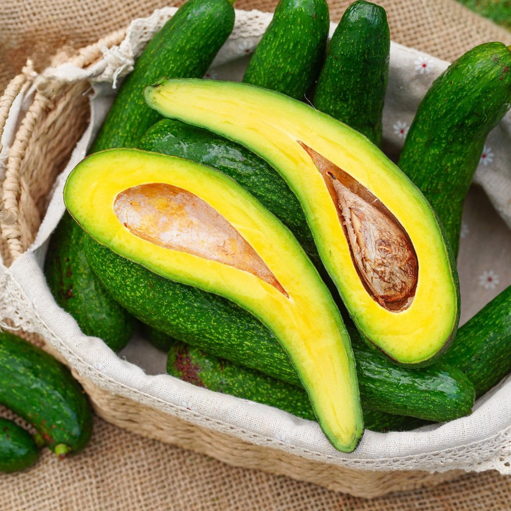 Bơ 034 thơm dẻo Hama