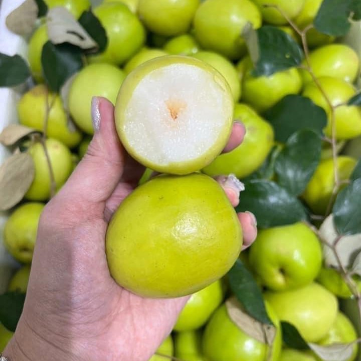 Táo Đài Bắc Giang_thumbnail_0