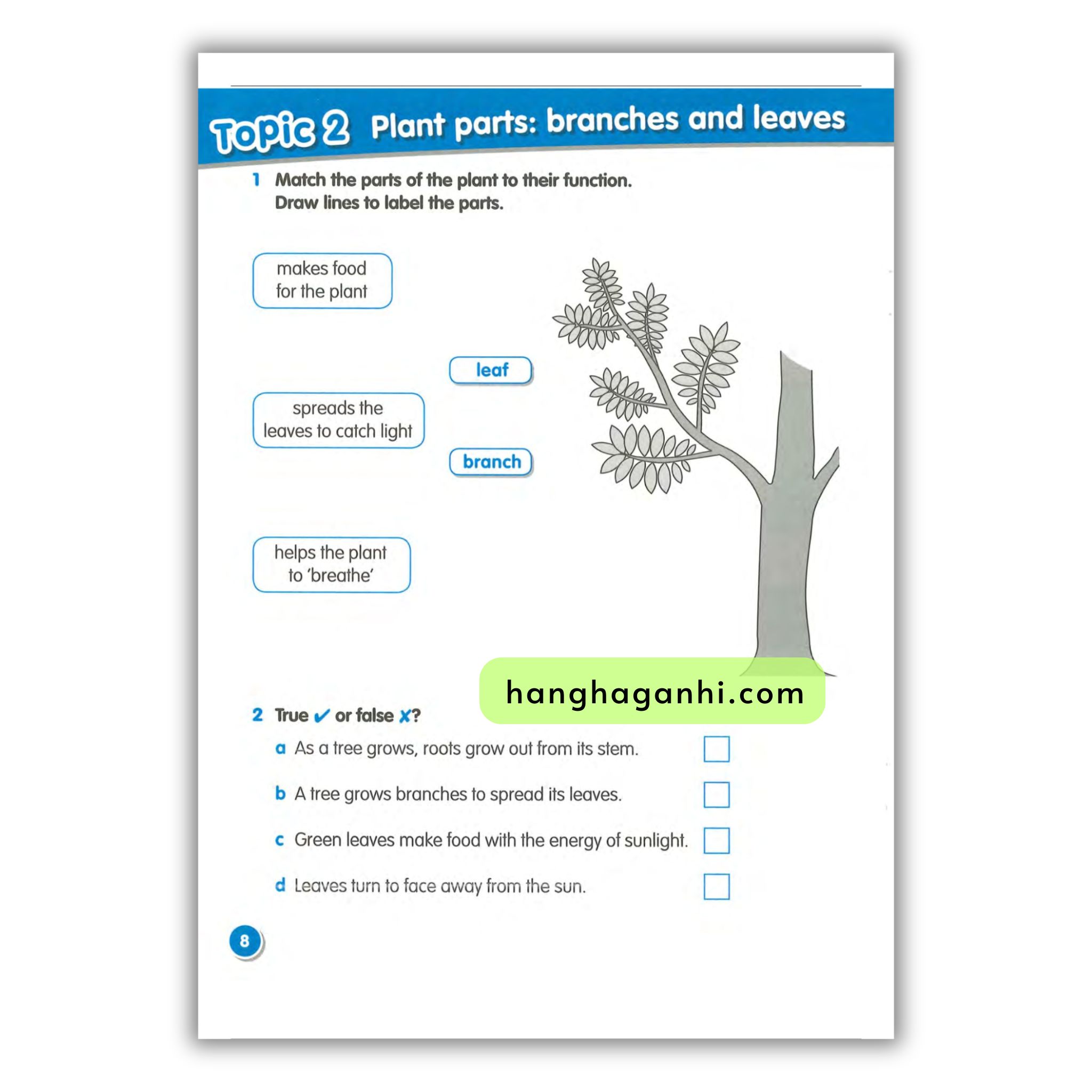 Macmillan Science 3 Workbook_thumbnail_8