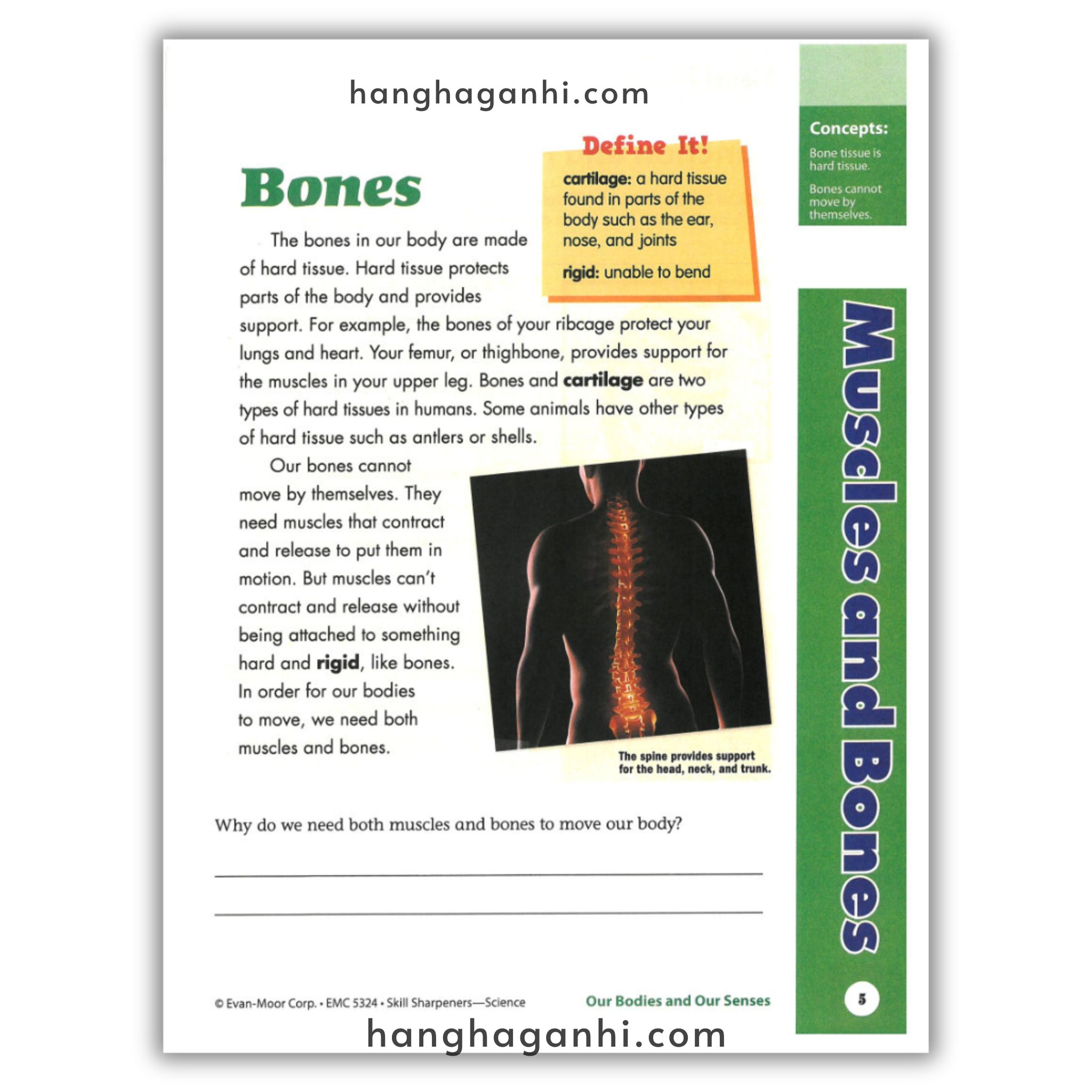 Skill Sharpeners Science Grade 4_thumbnail_17