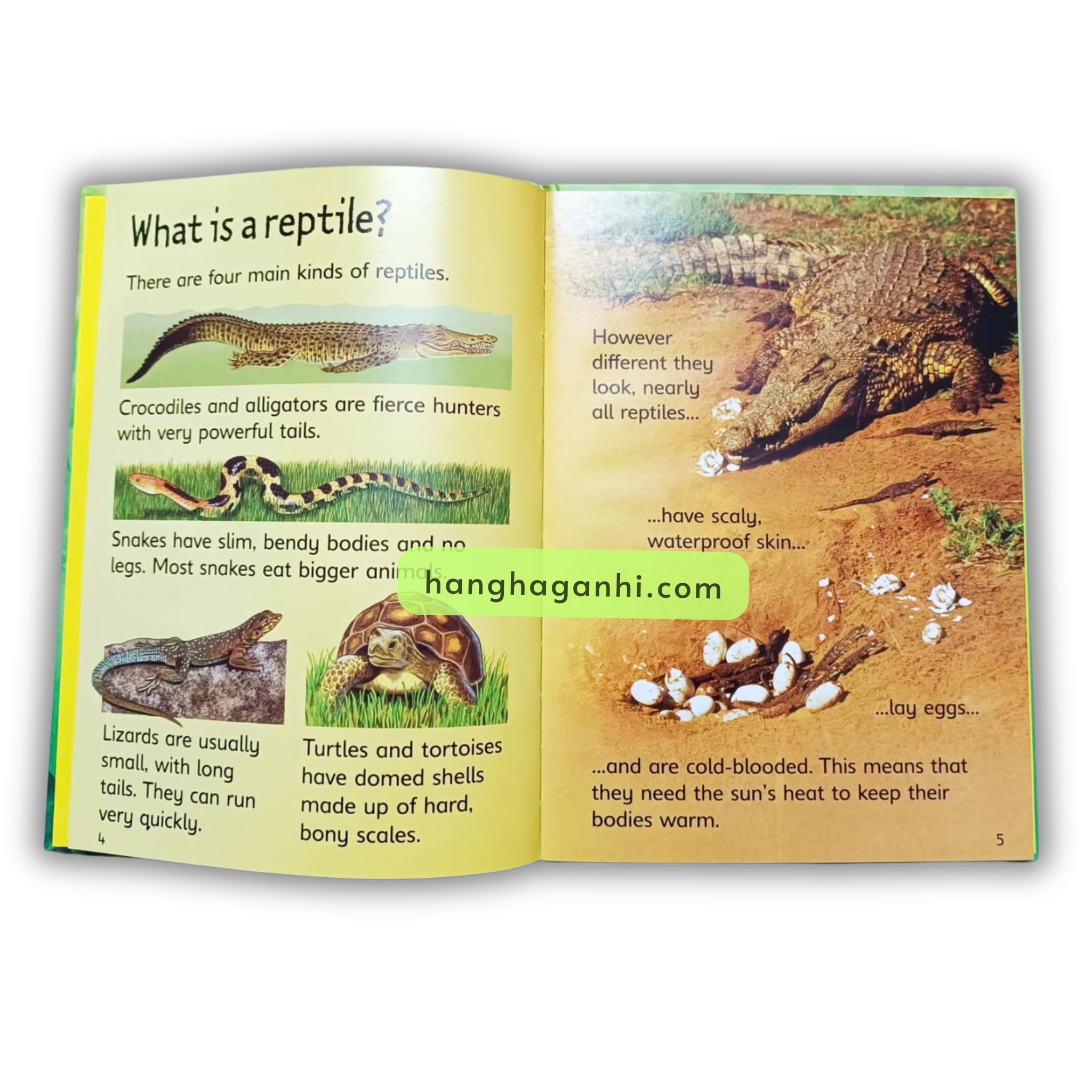 Bộ sách Usborne Beginners Nature Box Set Collection -10 cuốn_thumbnail_8