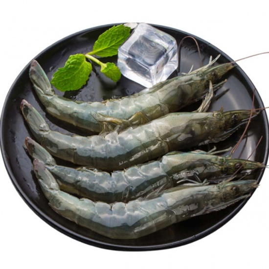 Tôm thẻ Đông lạnh - Tiện lợi cho chế biến