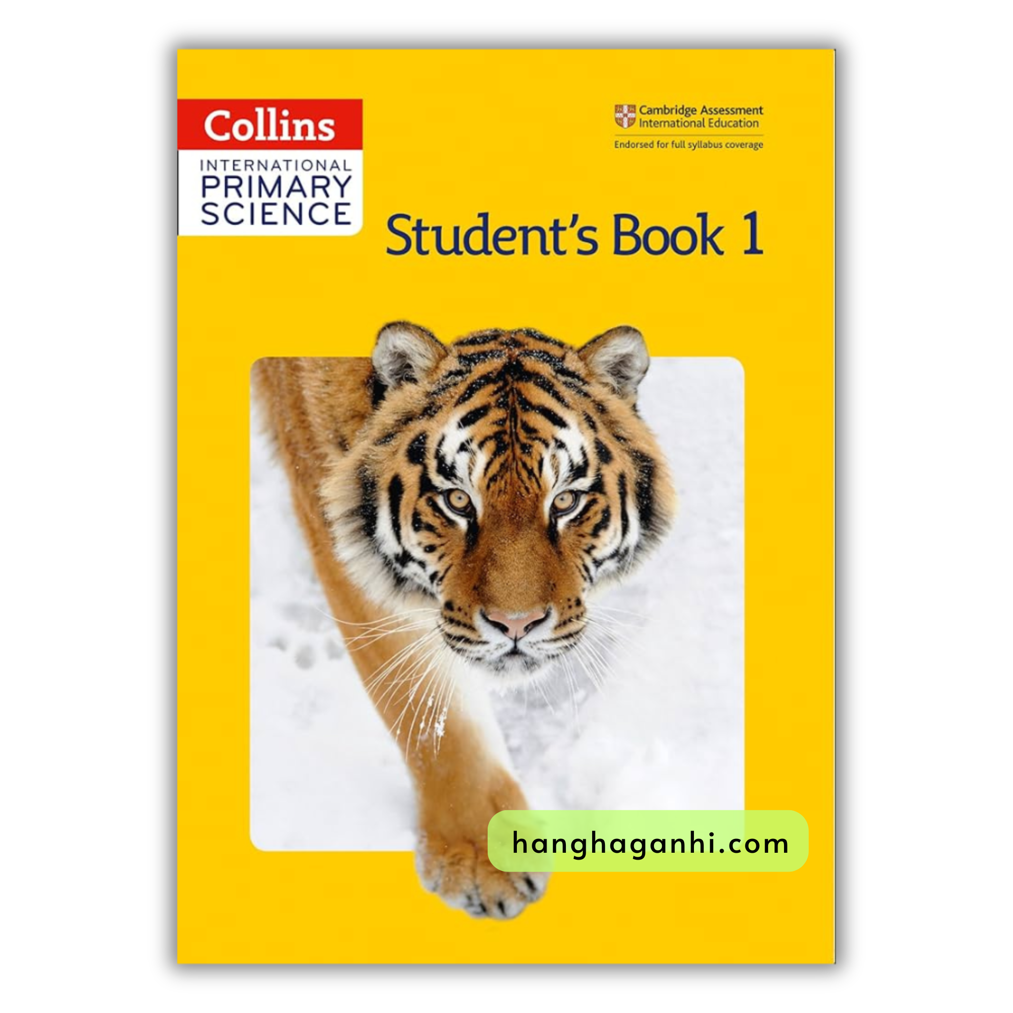 Collins International Primary Science 1 Workbook 