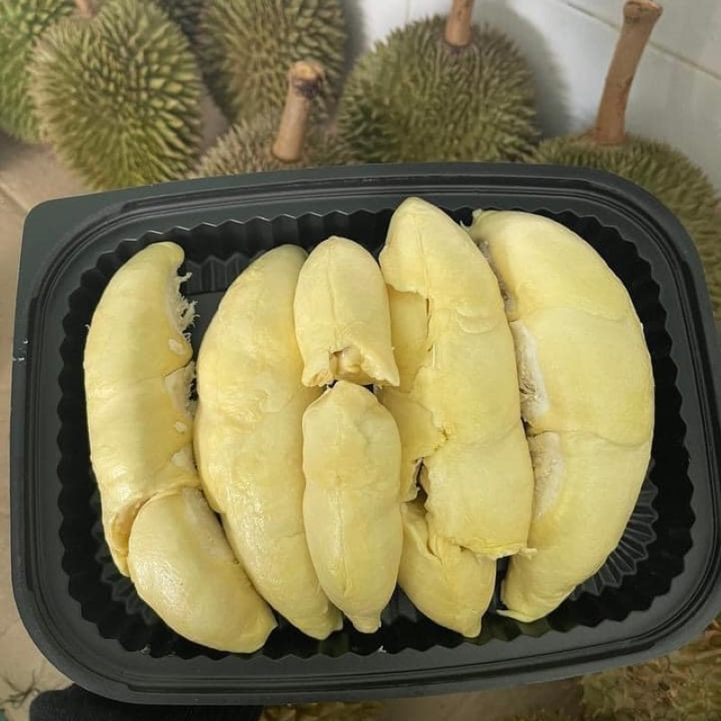 Sầu Riêng Chuồng Bò_thumbnail_2