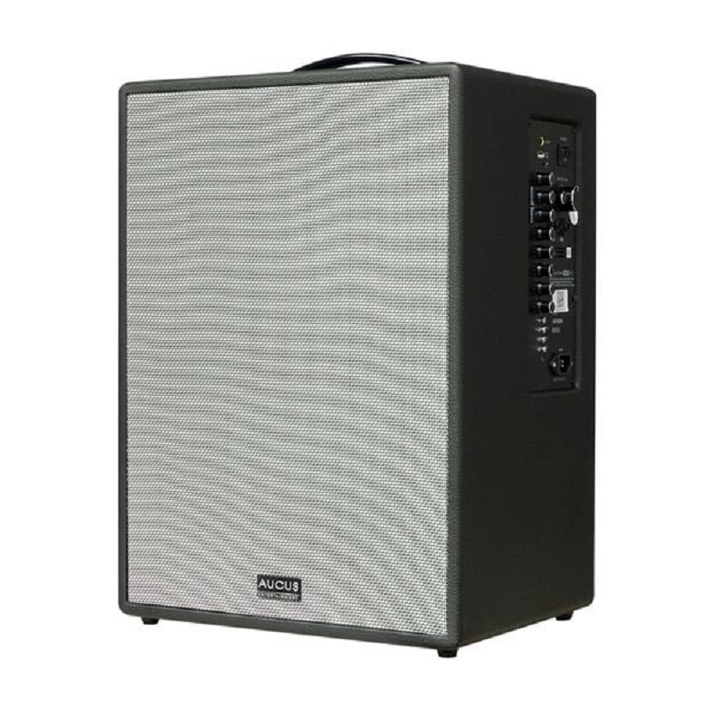 Loa Acnos AUCUS X300 