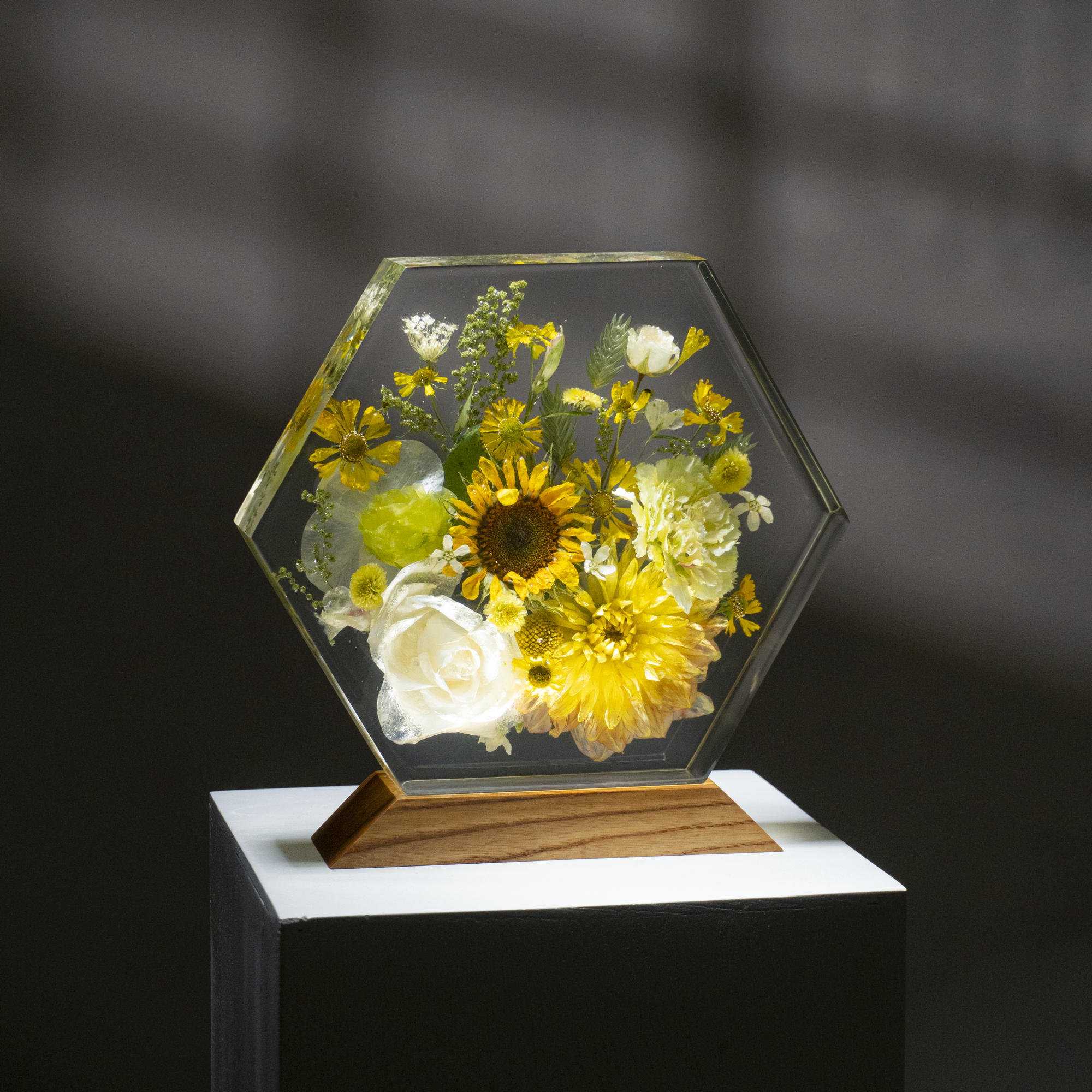 Đèn Hoa Độc Bản Bloomlight BLL011025-5