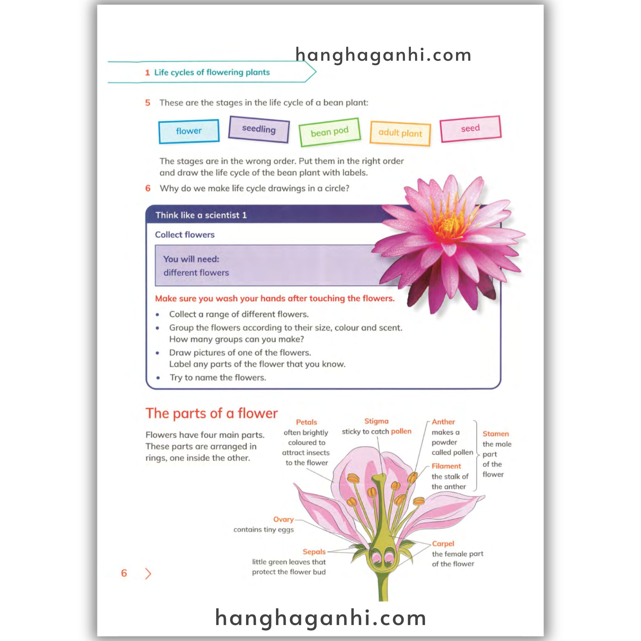 Cambridge Level 5 Primary Science Learner’s Book and Workbook 2nd edition 2021_thumbnail_2