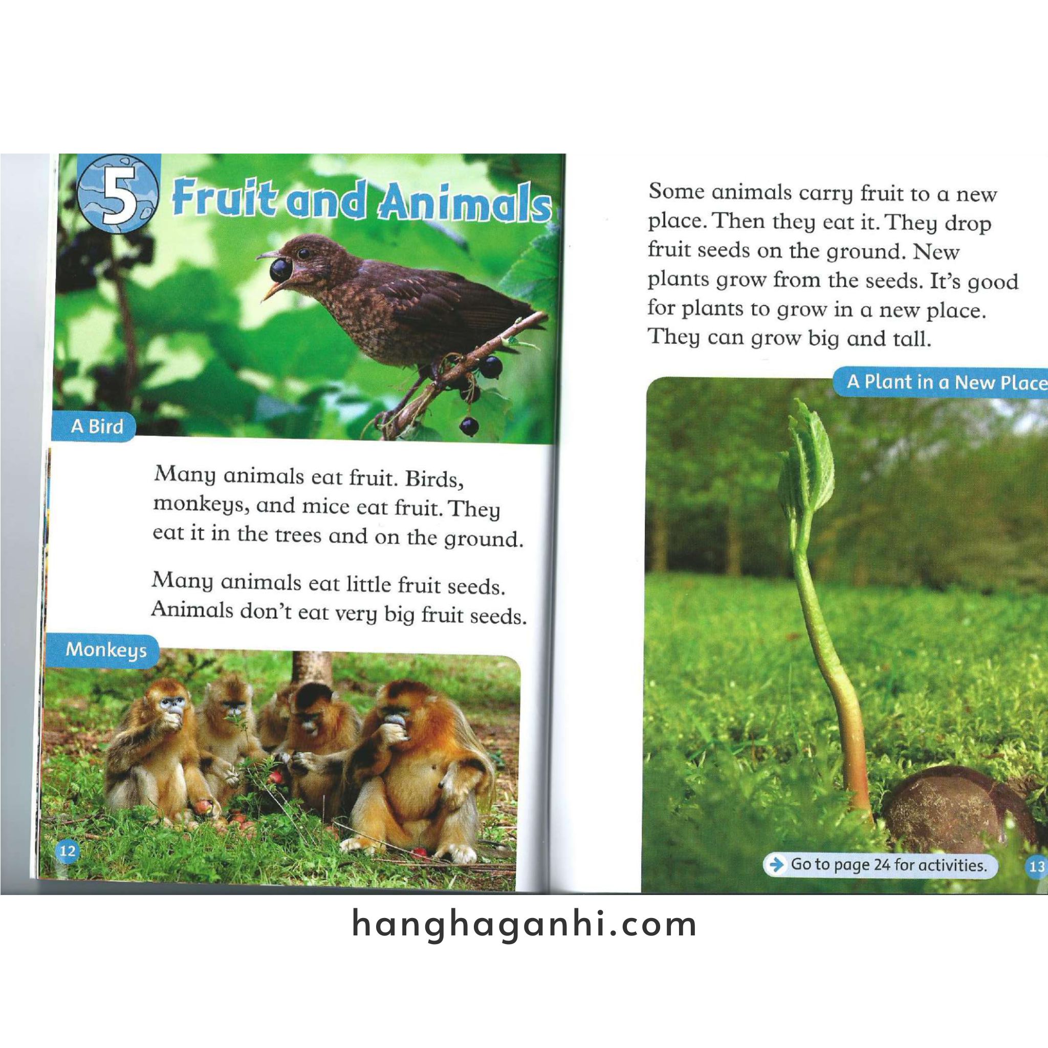 Bộ Oxford Read and Discover/Imagine Level 1,2,3,4,5,6- Sách Nhập nguyên seal kèm file nghe_thumbnail_11