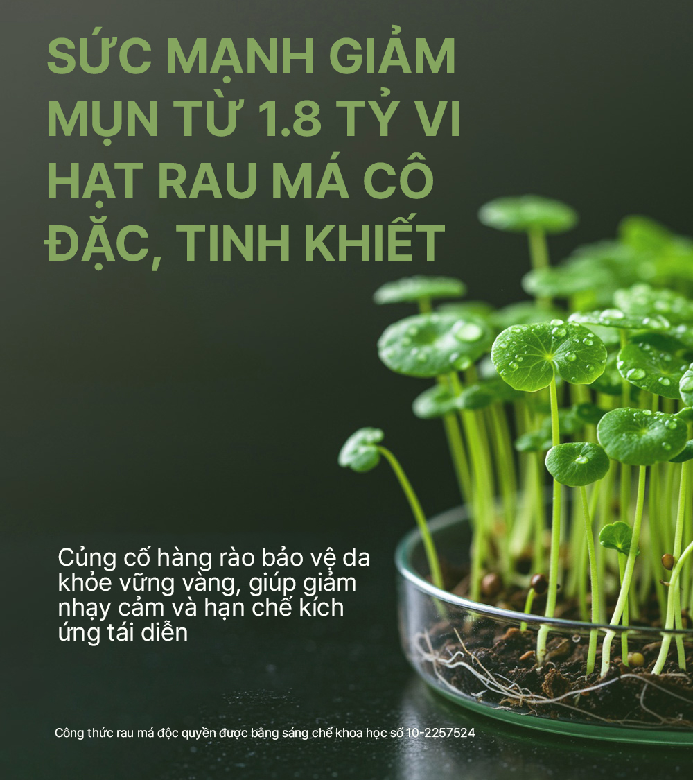 Kem chấm mụn làm dịu, phục hồi và giảm thâm elravie HyCicaMue Spot Cream_thumbnail_8