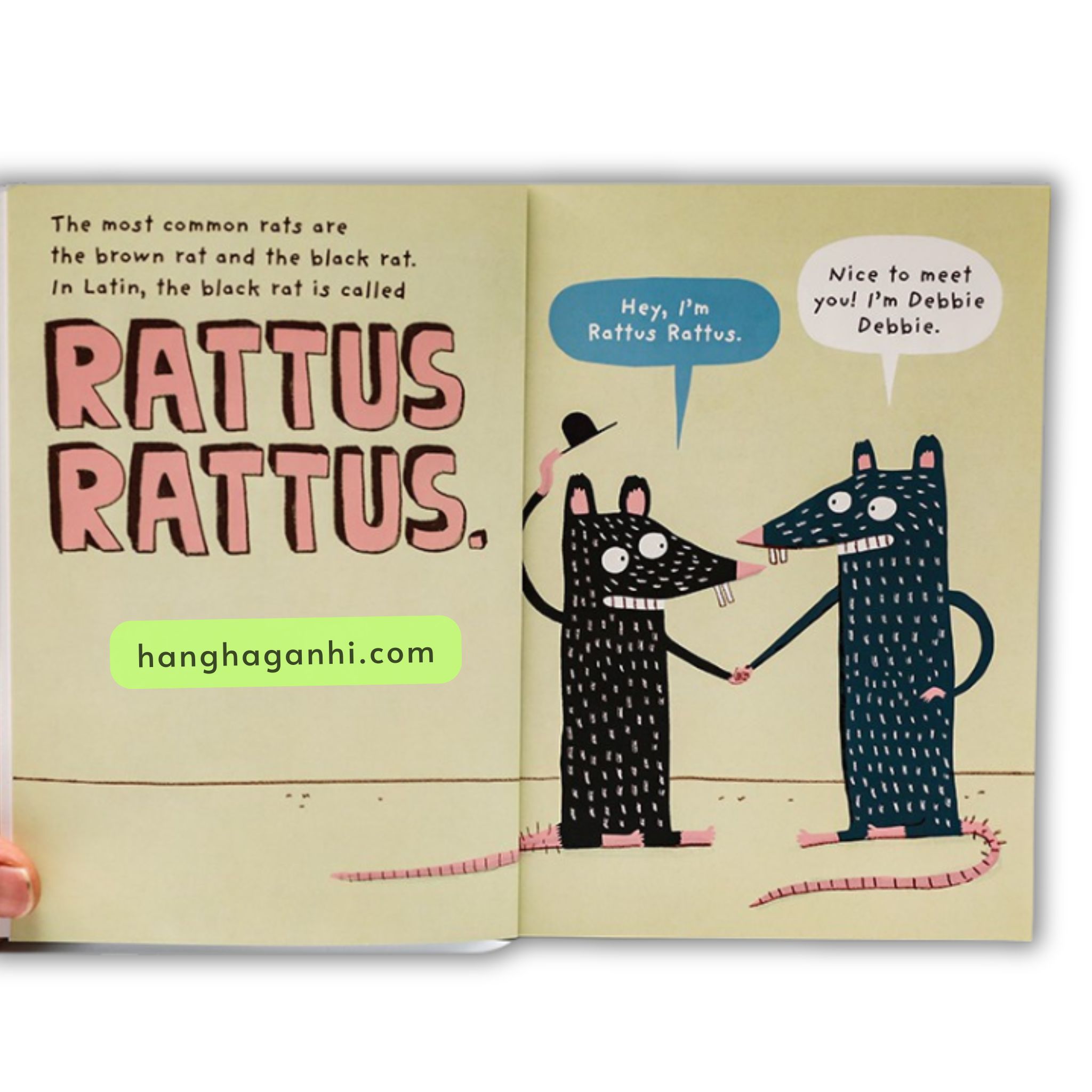 DISGUSTING CRITTERS 6 quyển [Sách nhập khẩu]_thumbnail_5